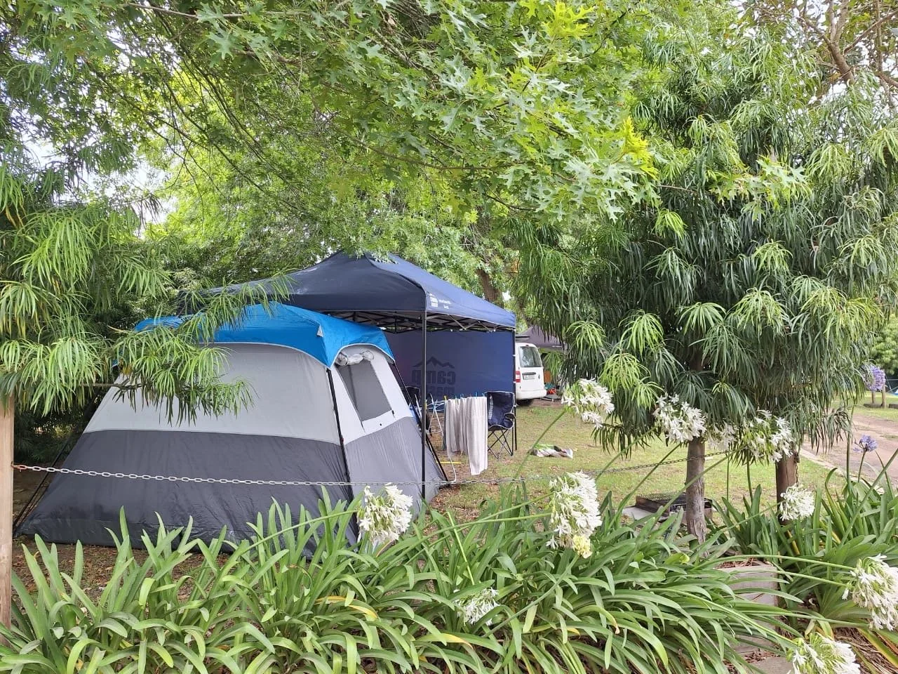 Camp setup with a gray and blue tent, shade trees, white flowering plants, a canopy, chairs, and a white vehicle in a lush, green outdoor area.