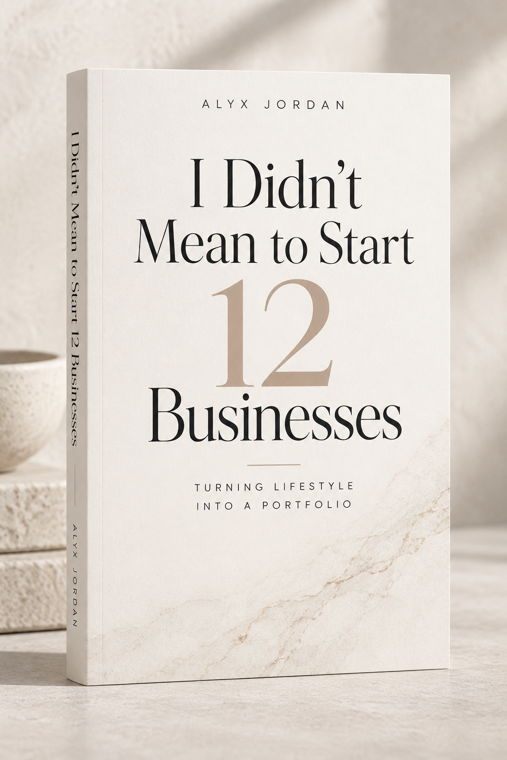 i Didn't Mean to Start 12 Business.png