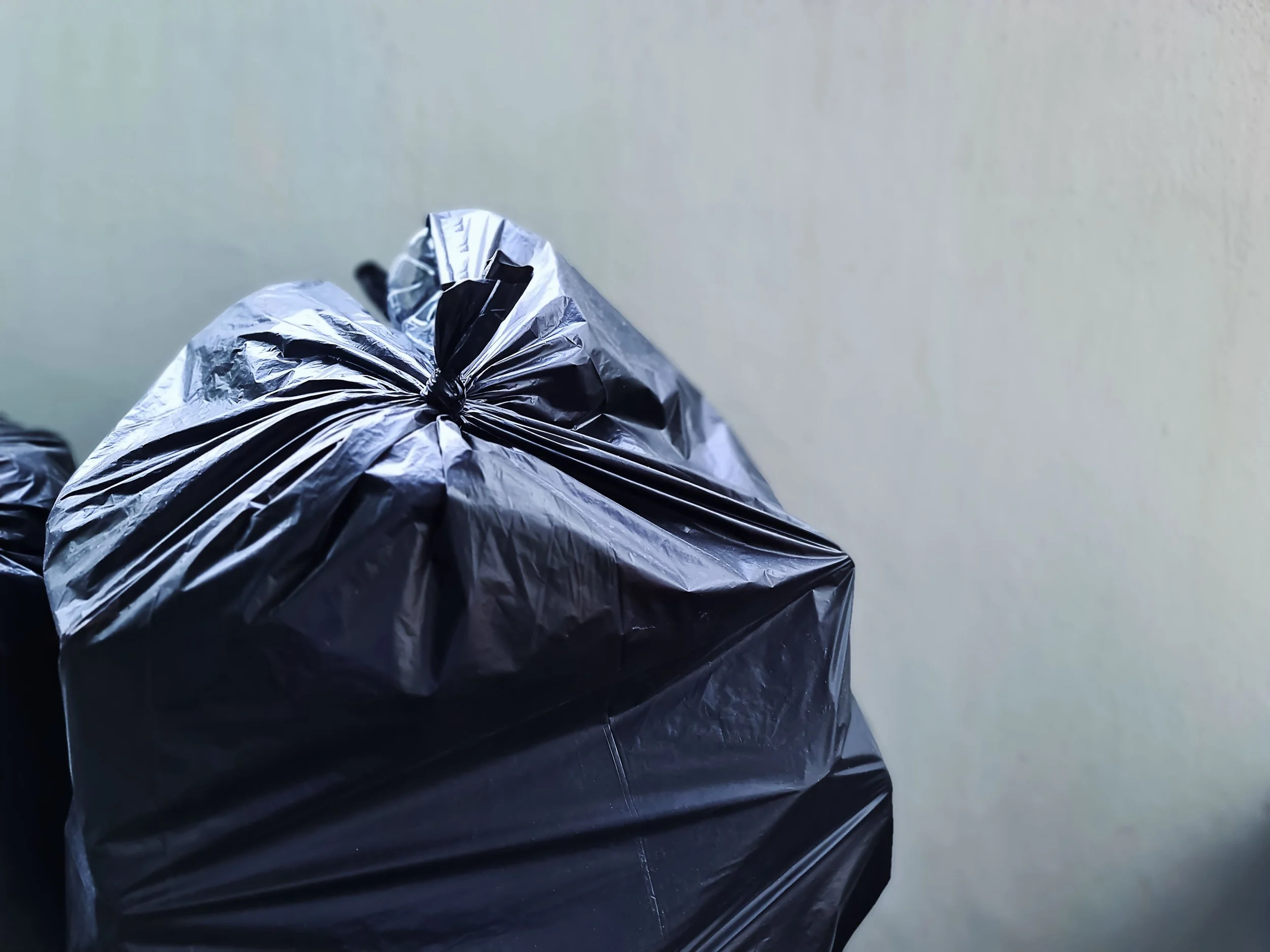 Trash bag.jpg