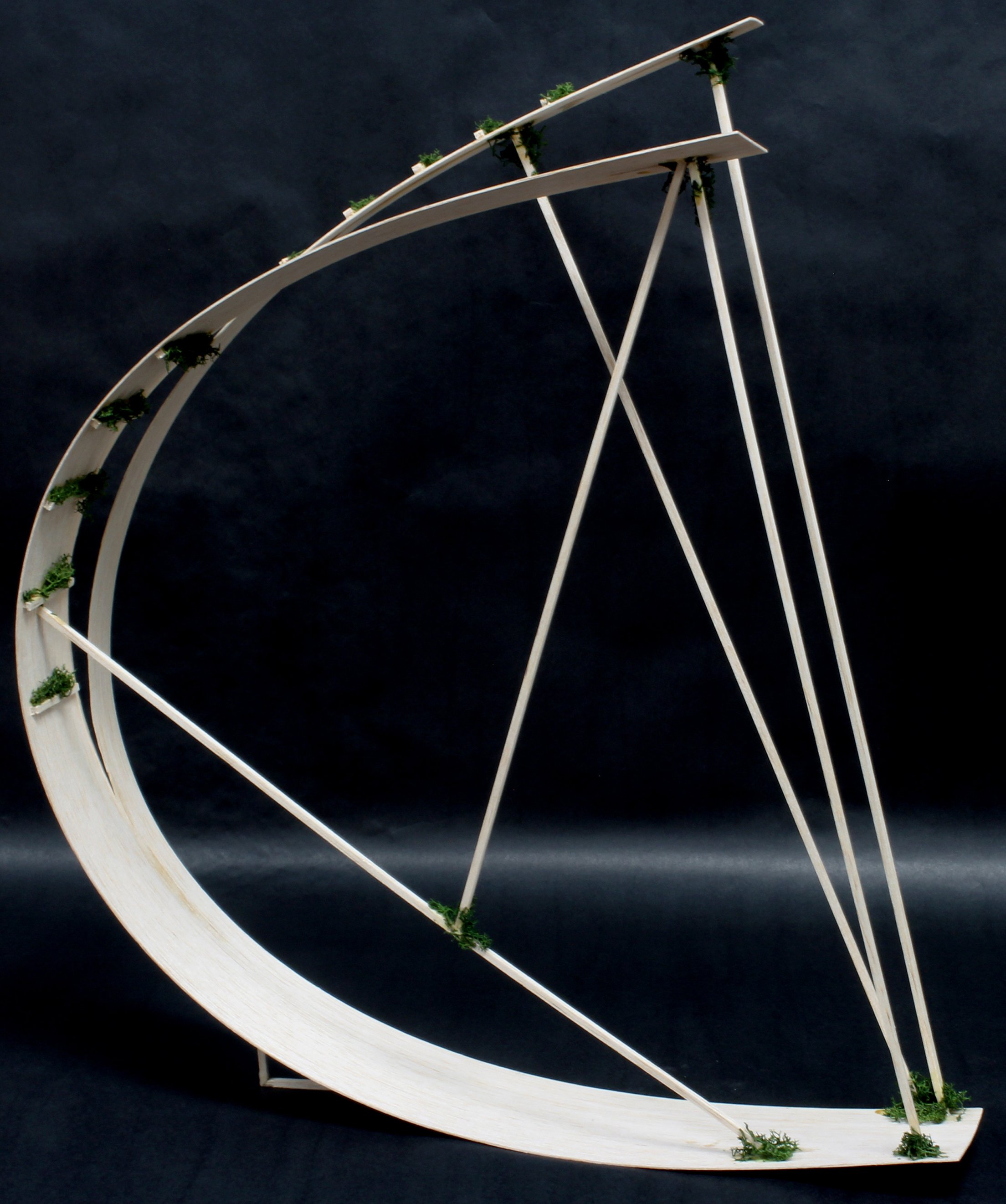 McCoy Bailey-Ark1.jpg