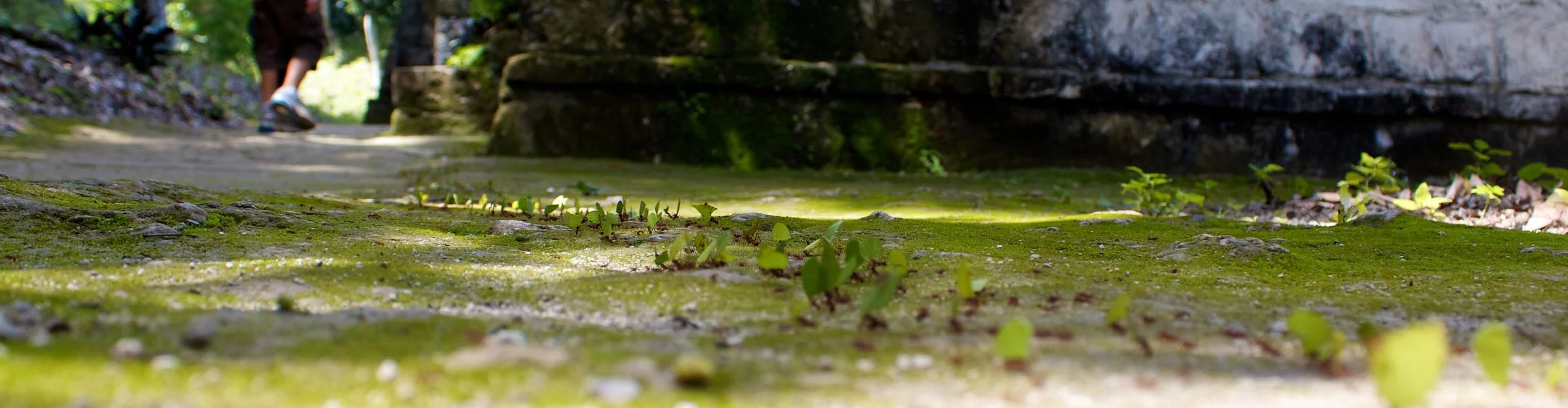 2011-07-18MELTflagged 498.jpg