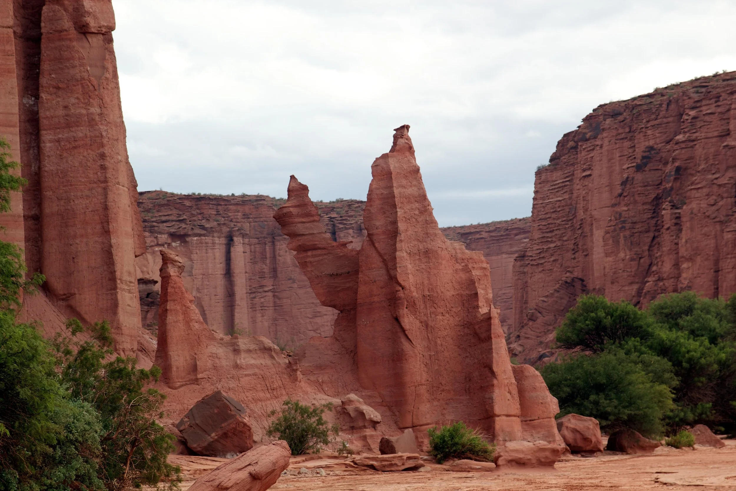 2011-02-08MELT 62.jpg