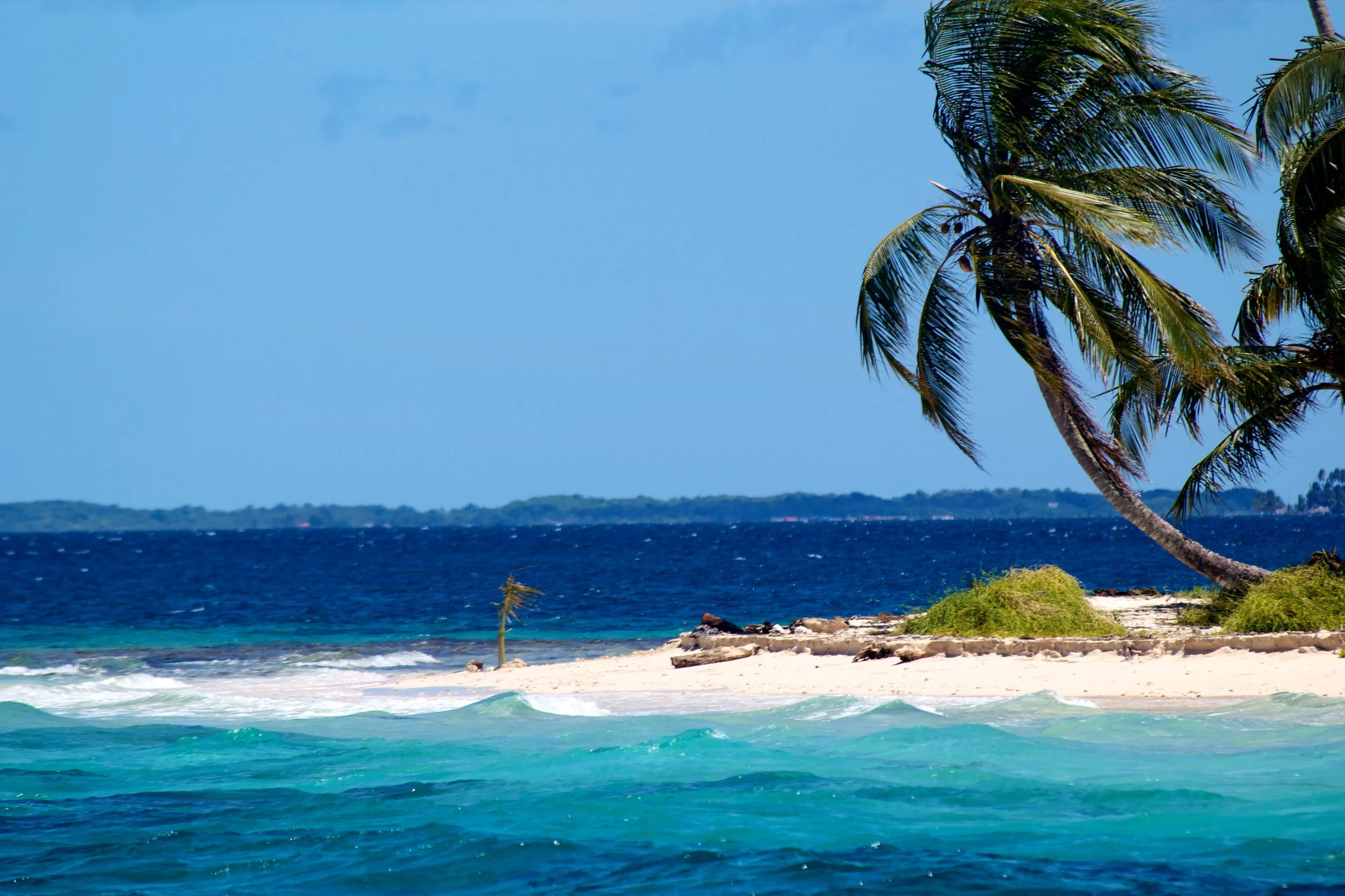 2011-06-06MELT 379.jpg