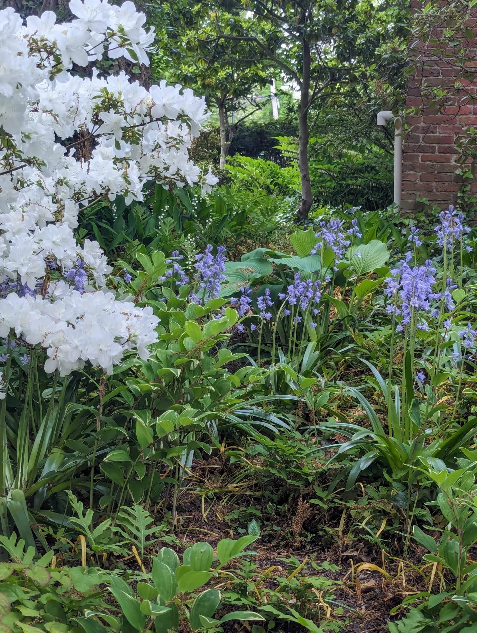 WhatsApp Image 2025-02-07 at 3.44.18 PM.jpeg