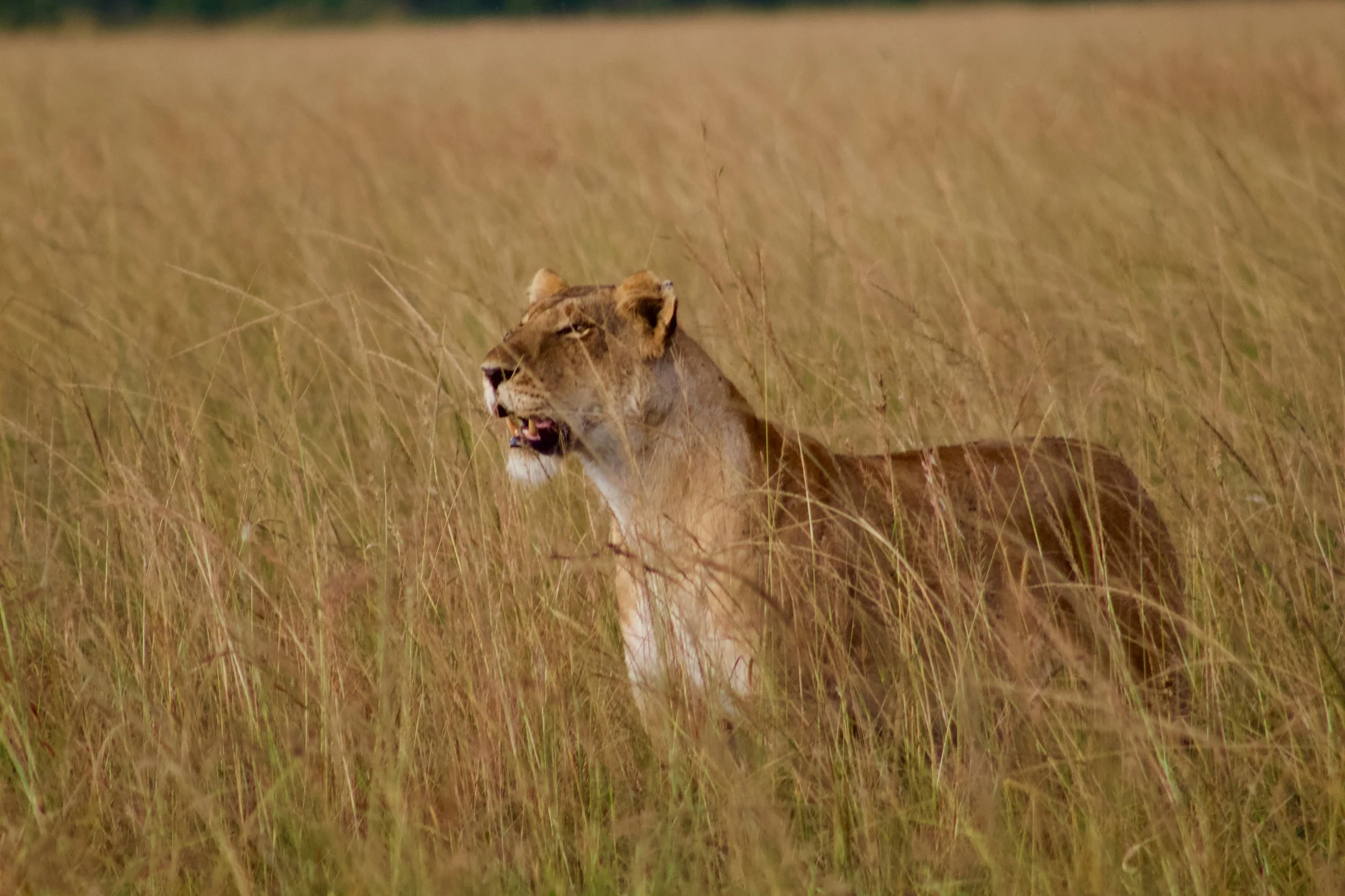 Africa 2022 - 8 of 140.jpeg