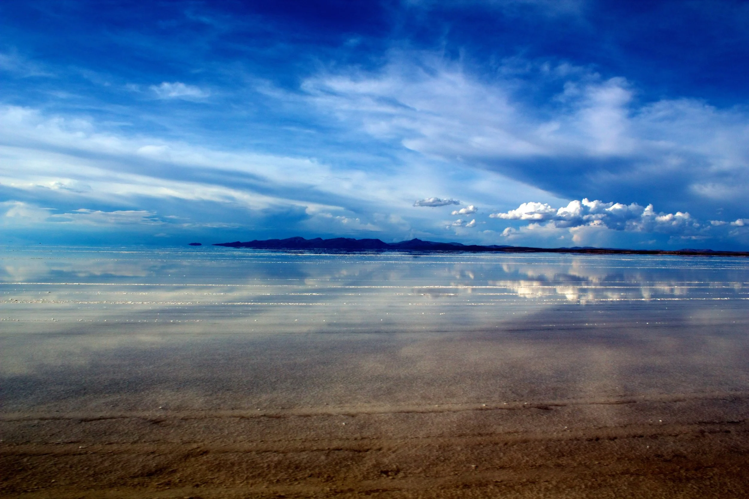 2011-02-23MELT 227.jpg