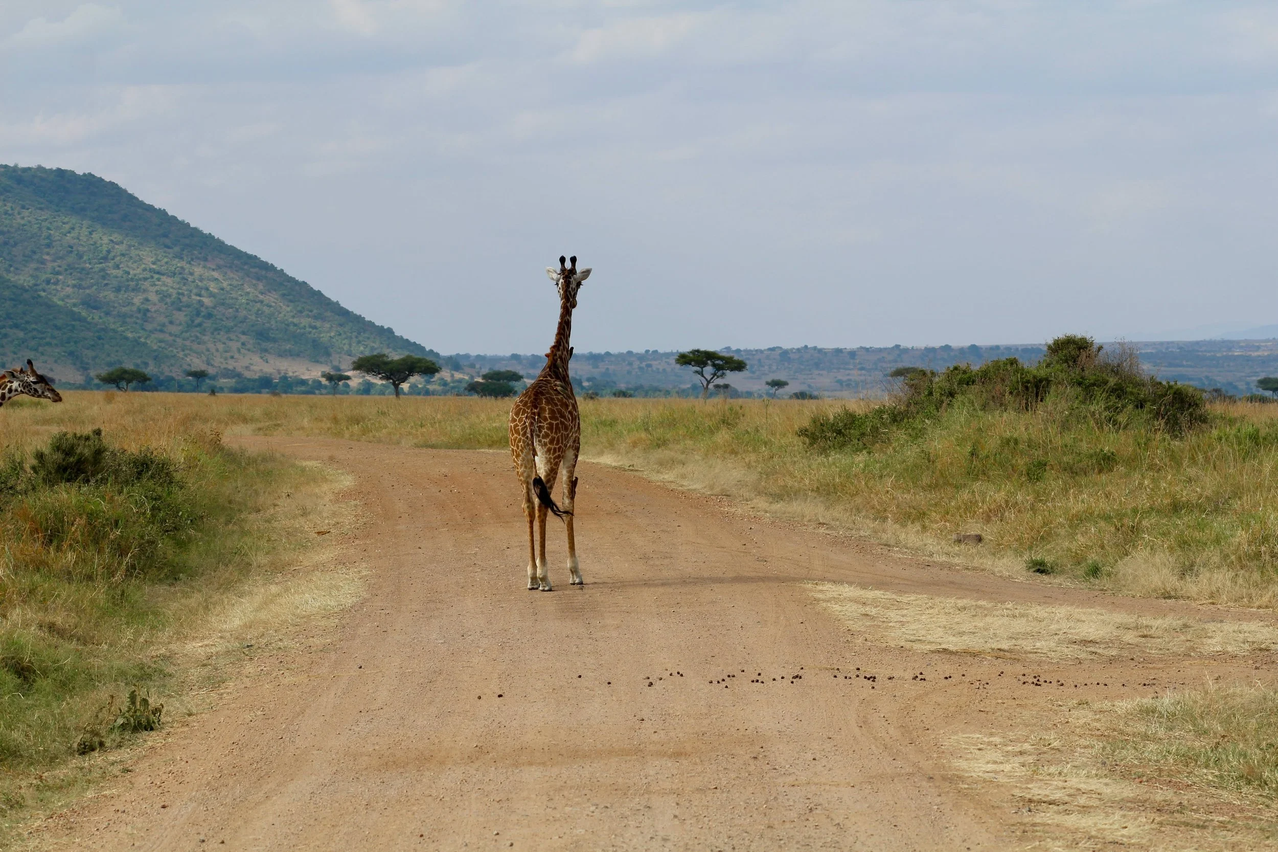 Africa 2022 - 54 of 140.jpeg