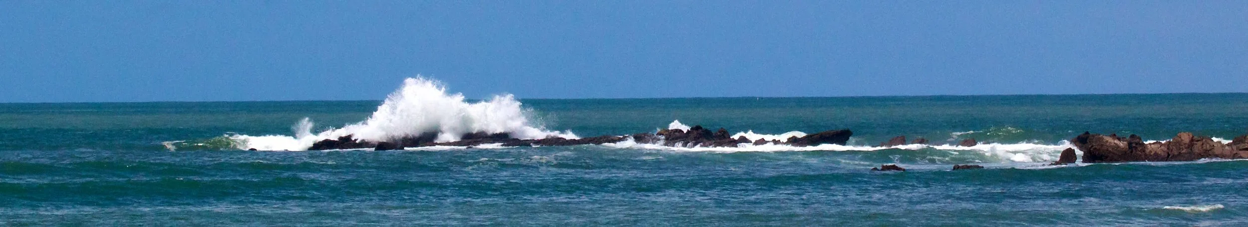 2011-06-18MELTflagged 372.jpg