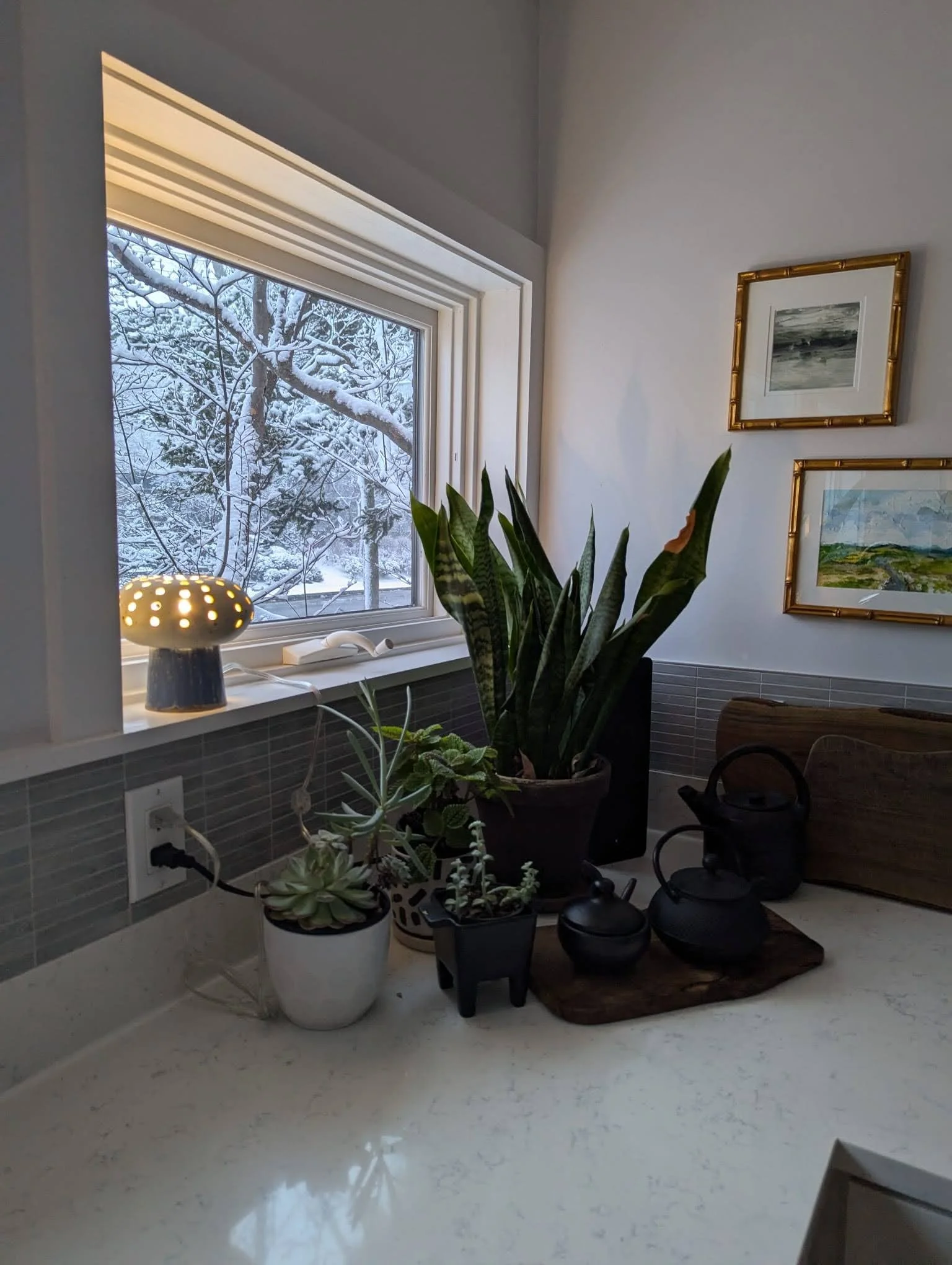 WhatsApp Image 2025-02-07 at 3.15.43 PM.jpeg