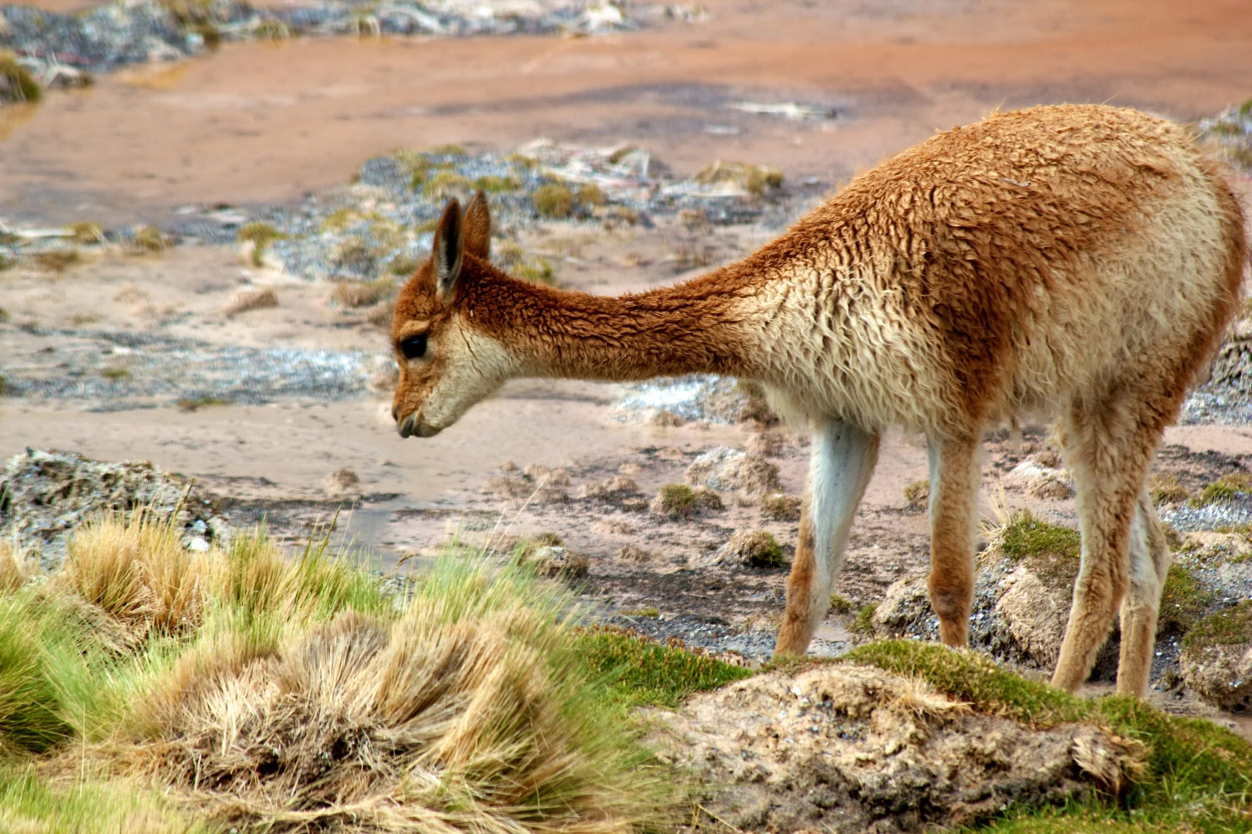 2011-02-21MELT 182.jpg