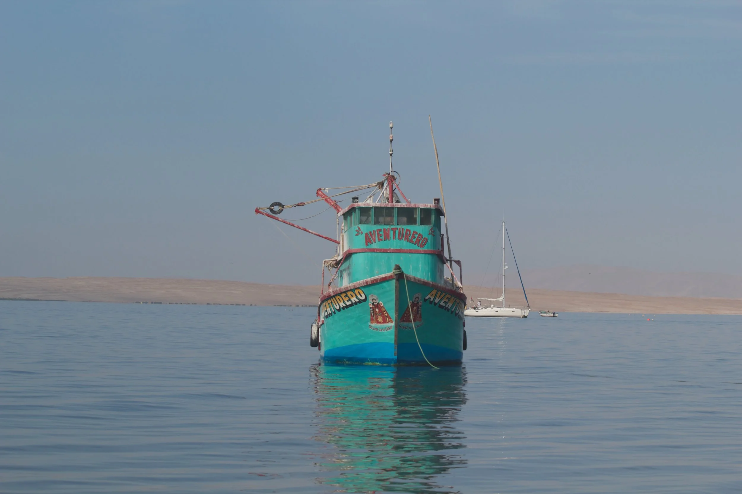 2011-03-19MELTflagged 61.jpg