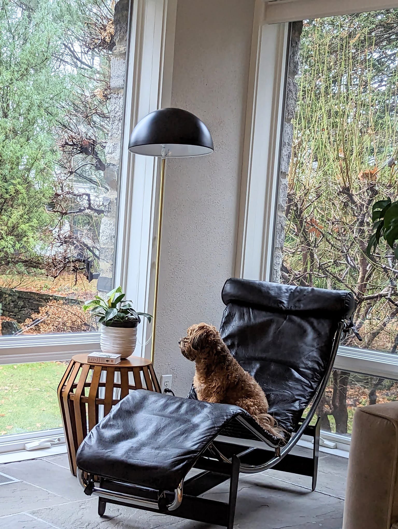 WhatsApp Image 2025-02-09 at 9.17.17 AM.jpeg