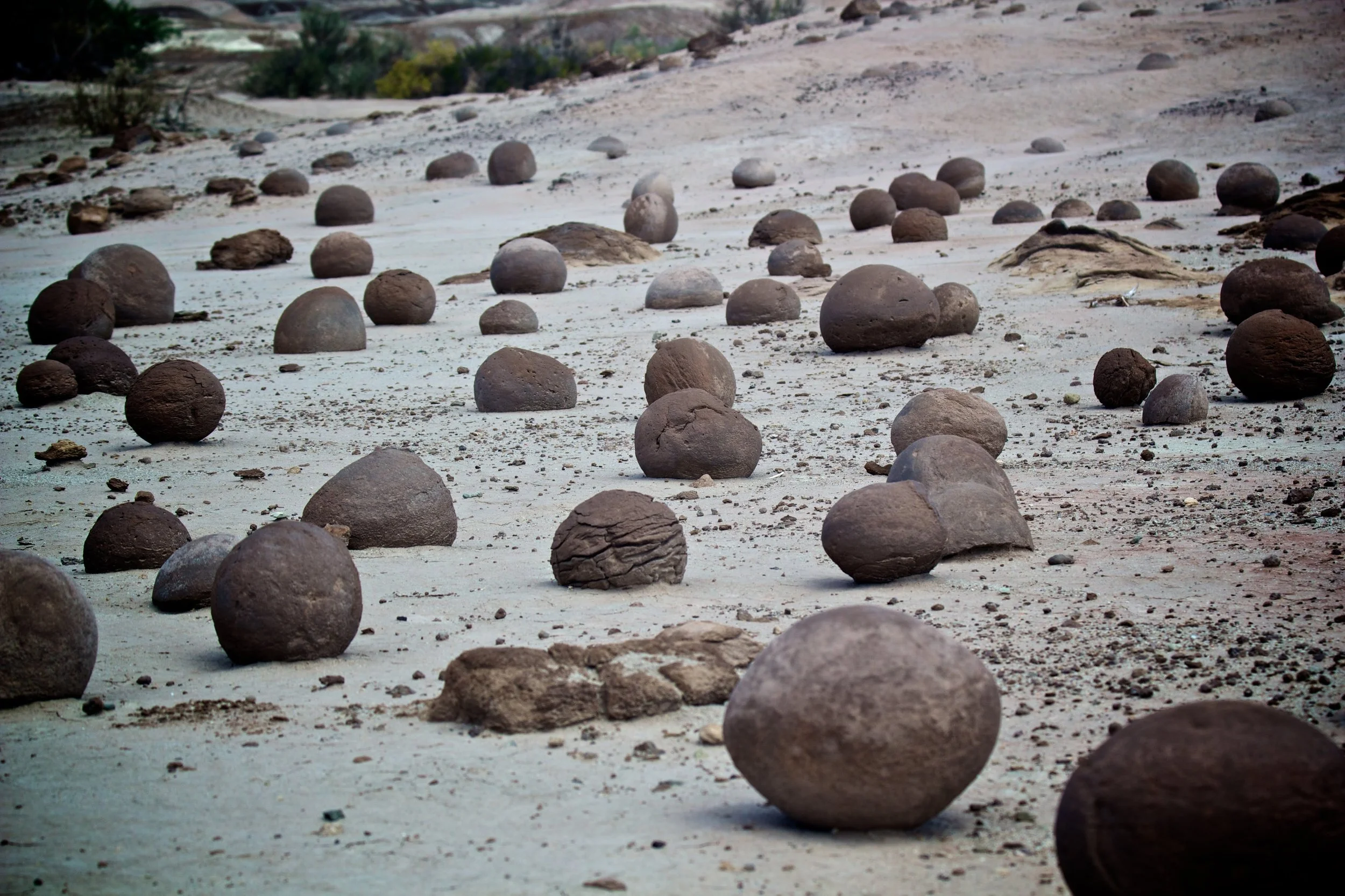 2011-02-07MELT 27.jpg