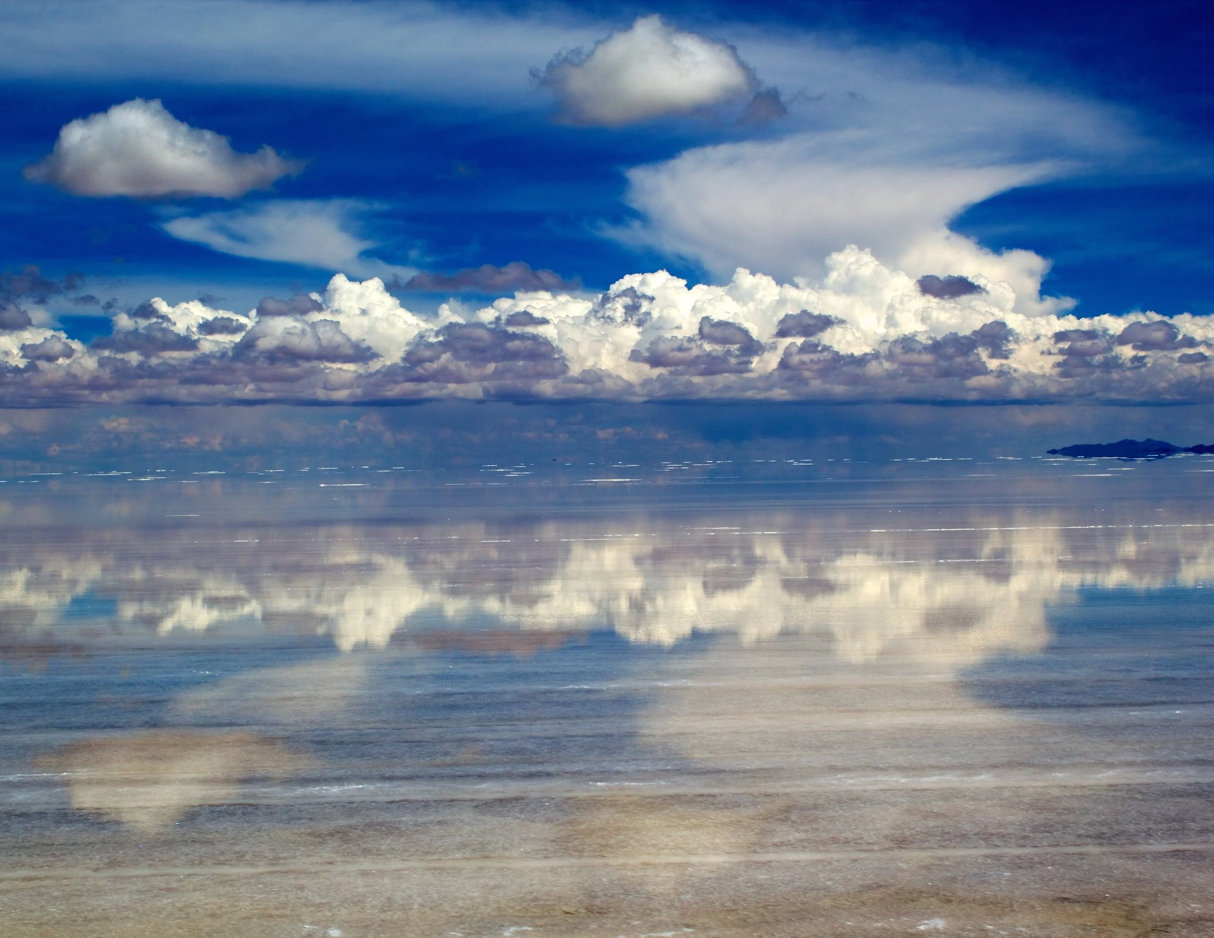 2011-02-23MELT 202.jpg