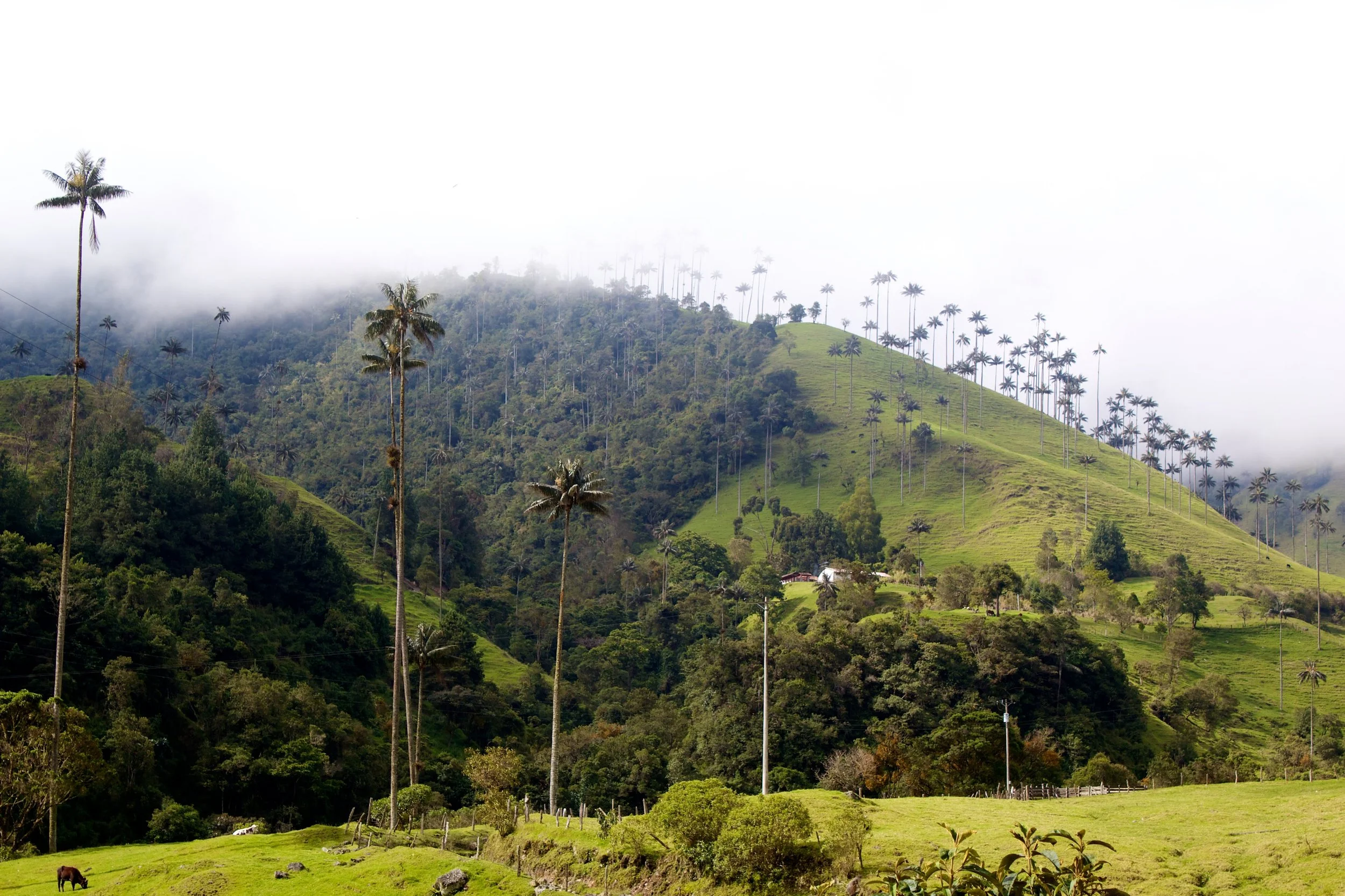 2011-05-09MELTflagged 260.jpg