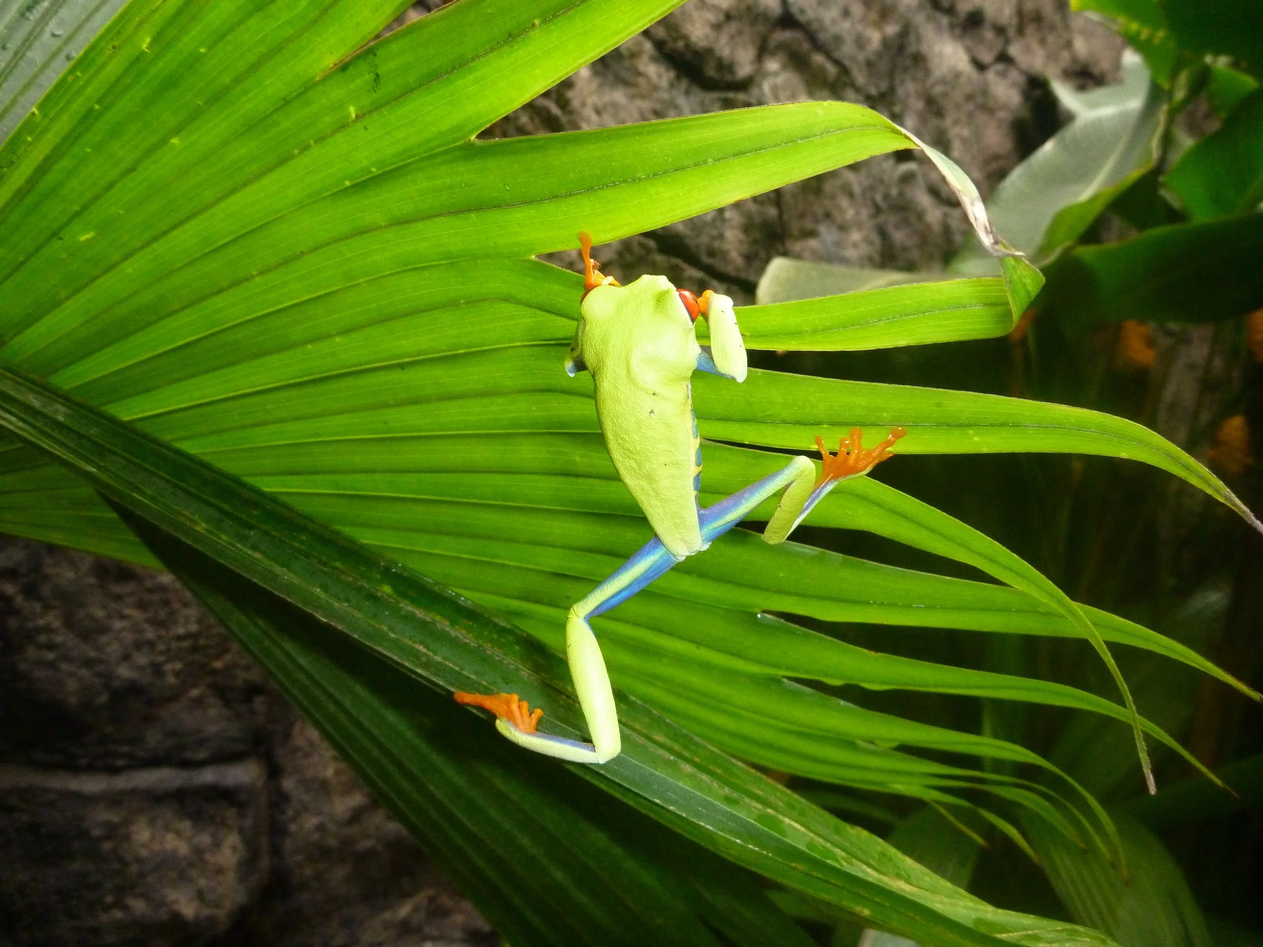 2011-06-12MELTflagged 351.jpg