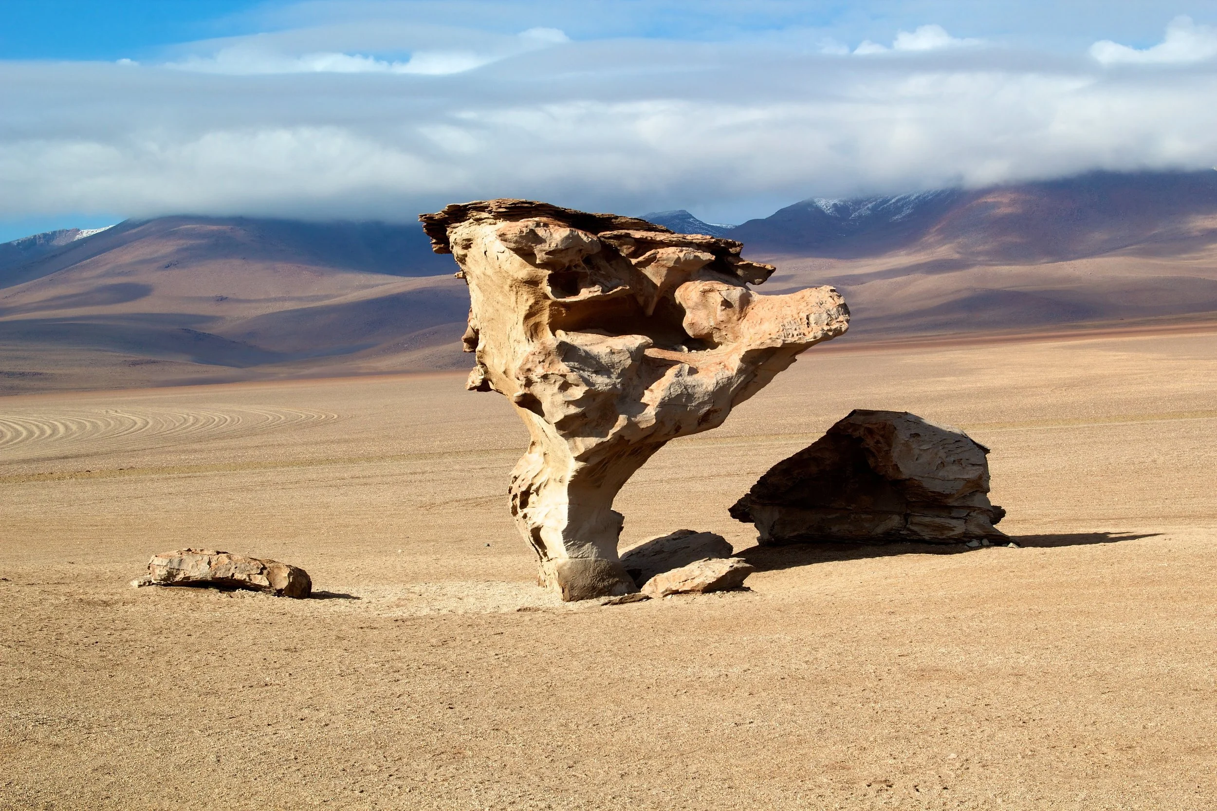 2011-02-21MELT 187.jpg