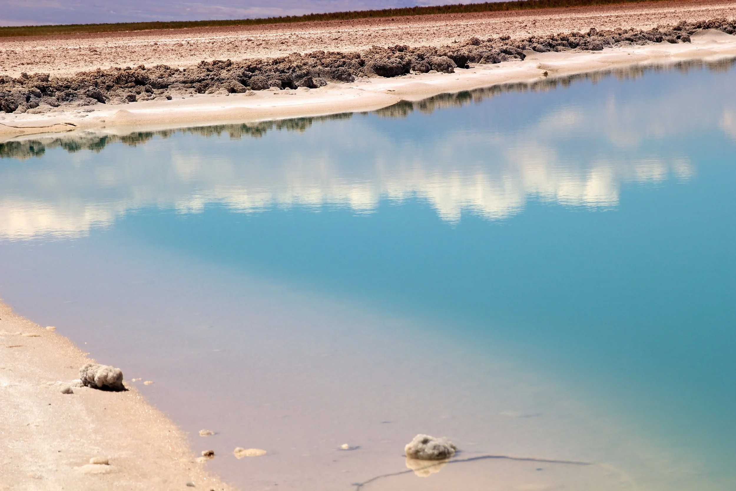 2011-02-20MELT 148.jpg