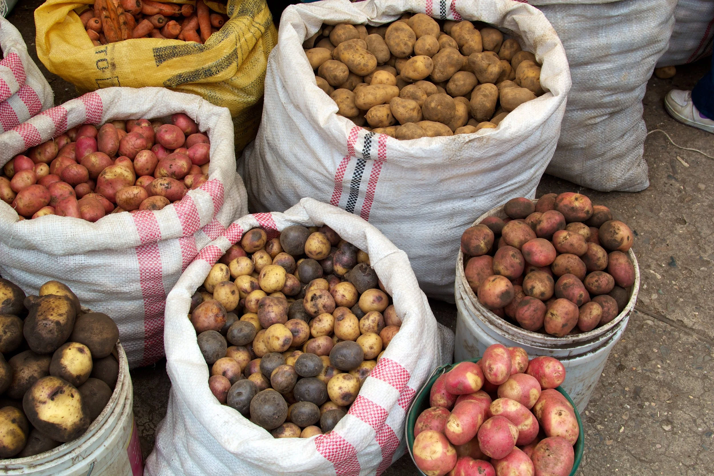 2011-04-17MELTflagged 166.jpg