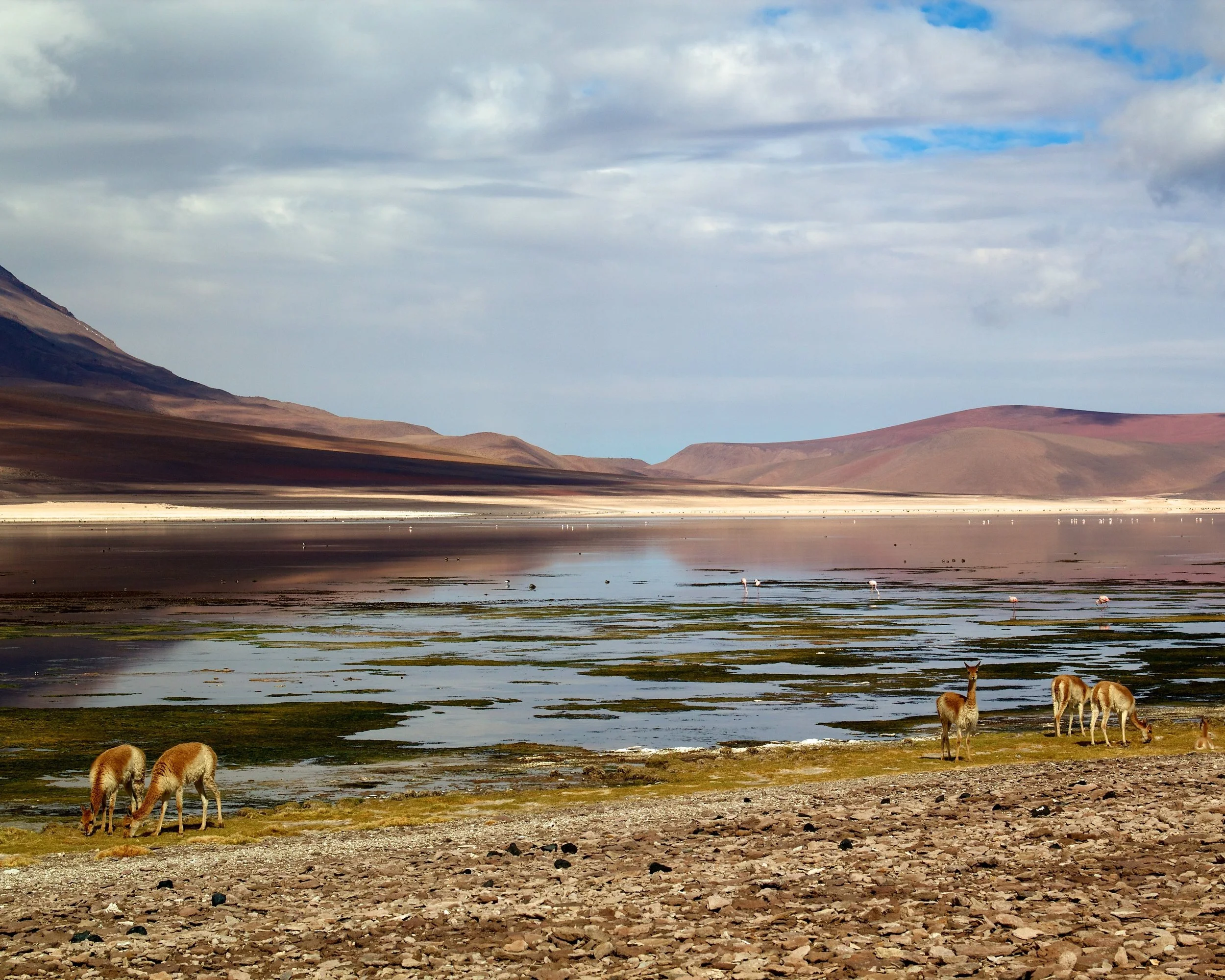 2011-02-20MELT 169.jpg