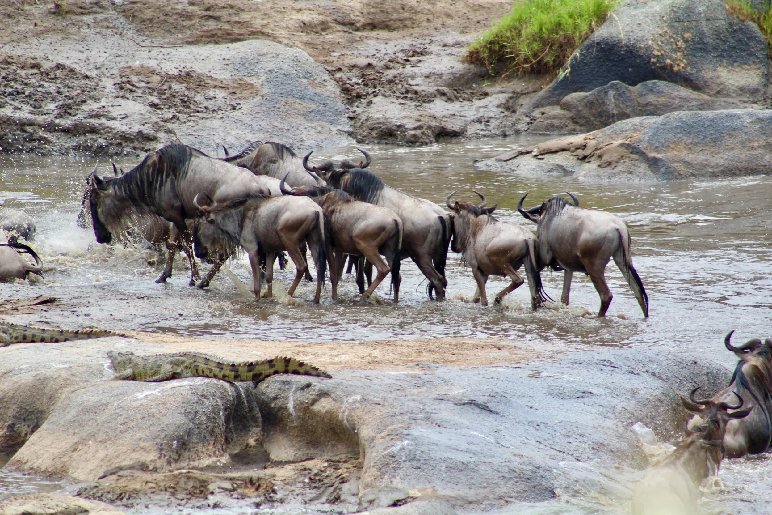 Africa 2022 - 57 of 140.jpeg