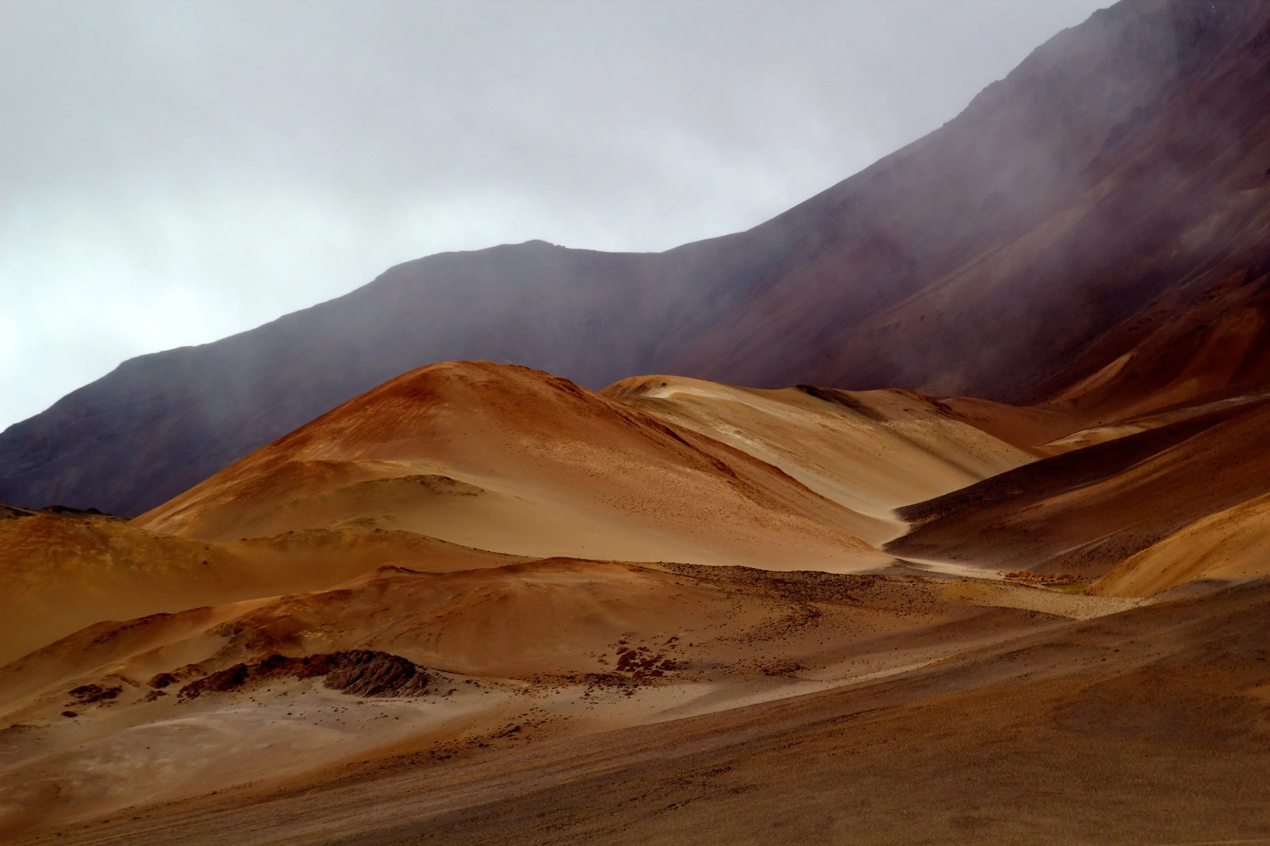 2011-02-18MELT 133.jpg