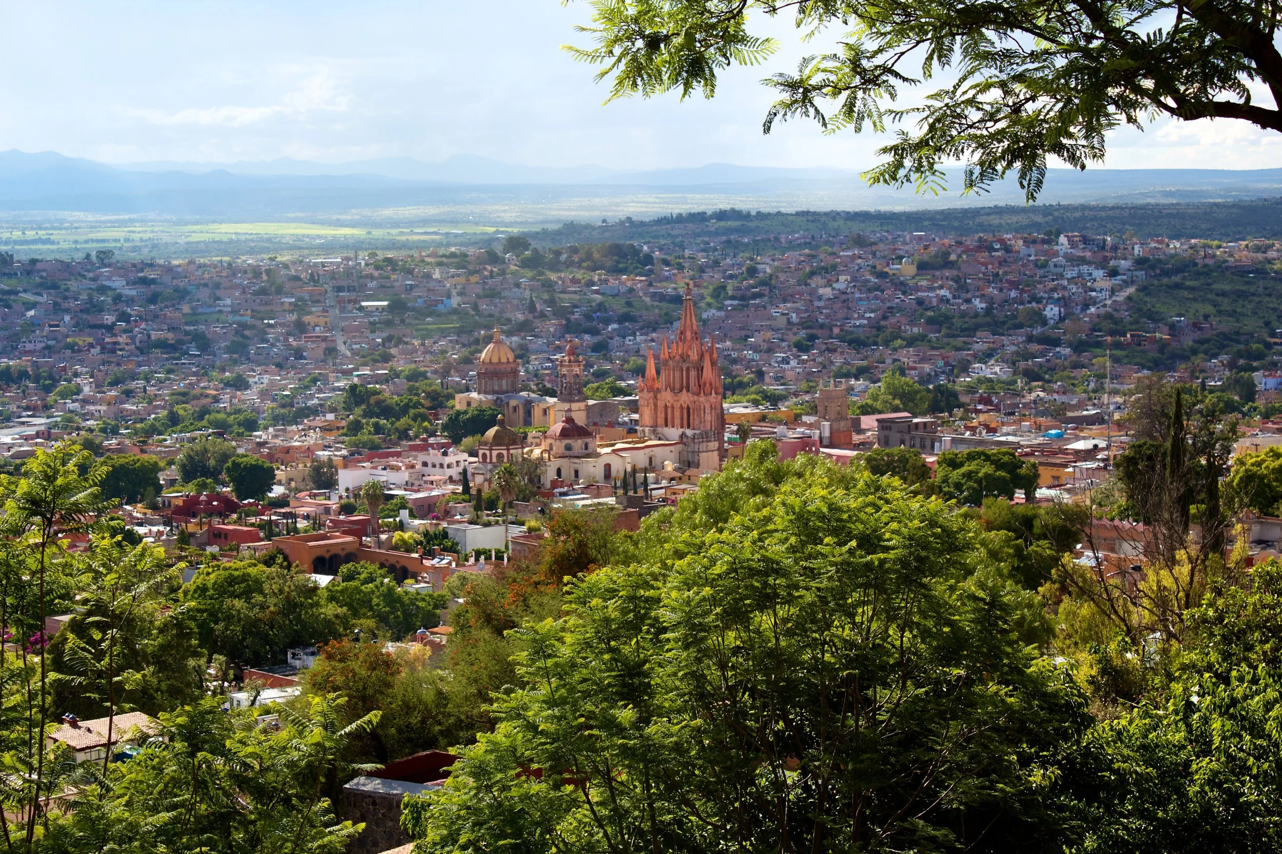 2011-08-03MELTflagged 542.jpg