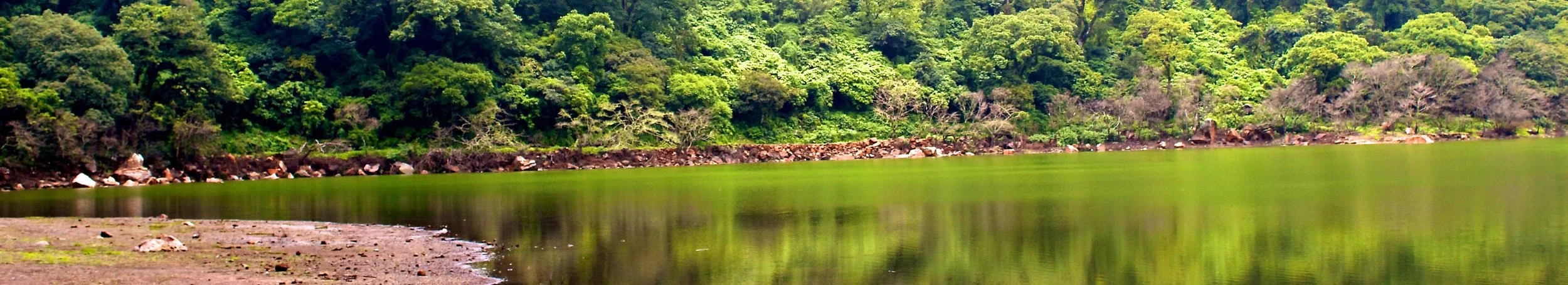 2011-07-04MELT 437.jpg