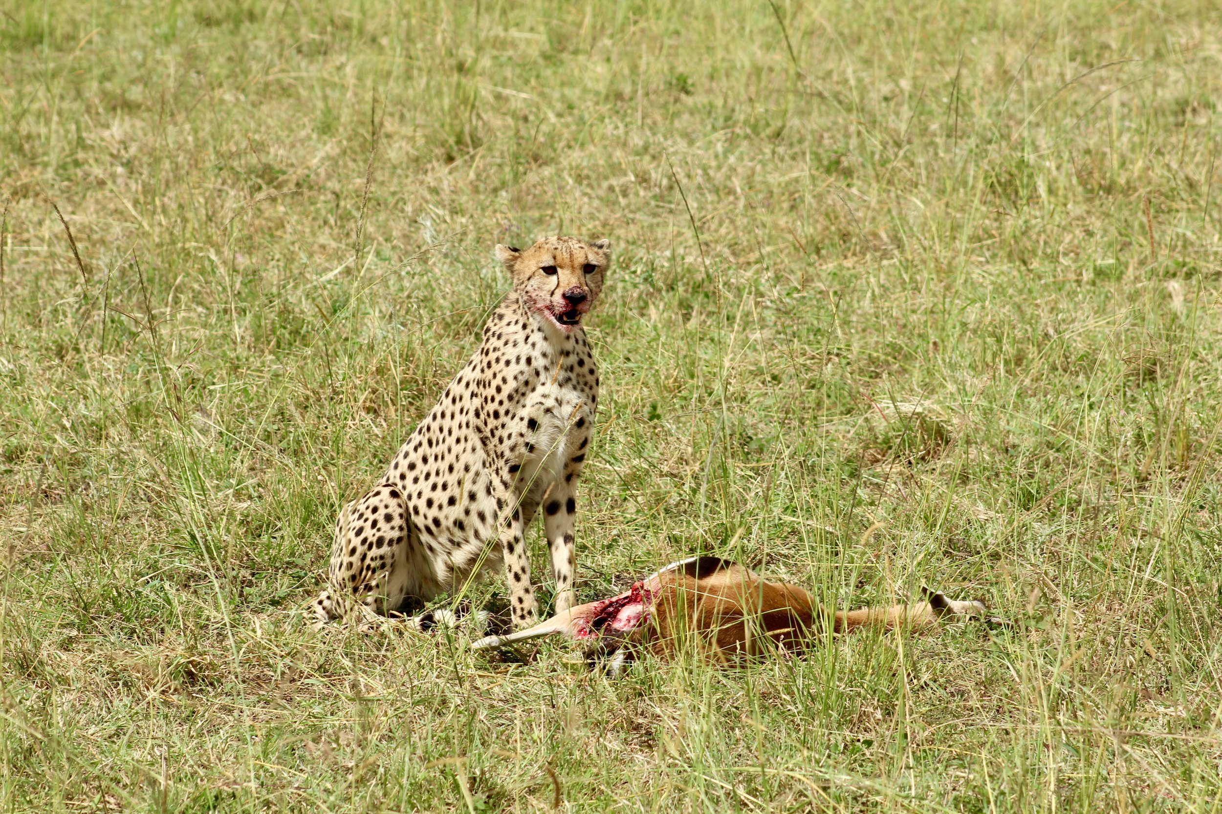 Africa 2022 - 50 of 140.jpeg