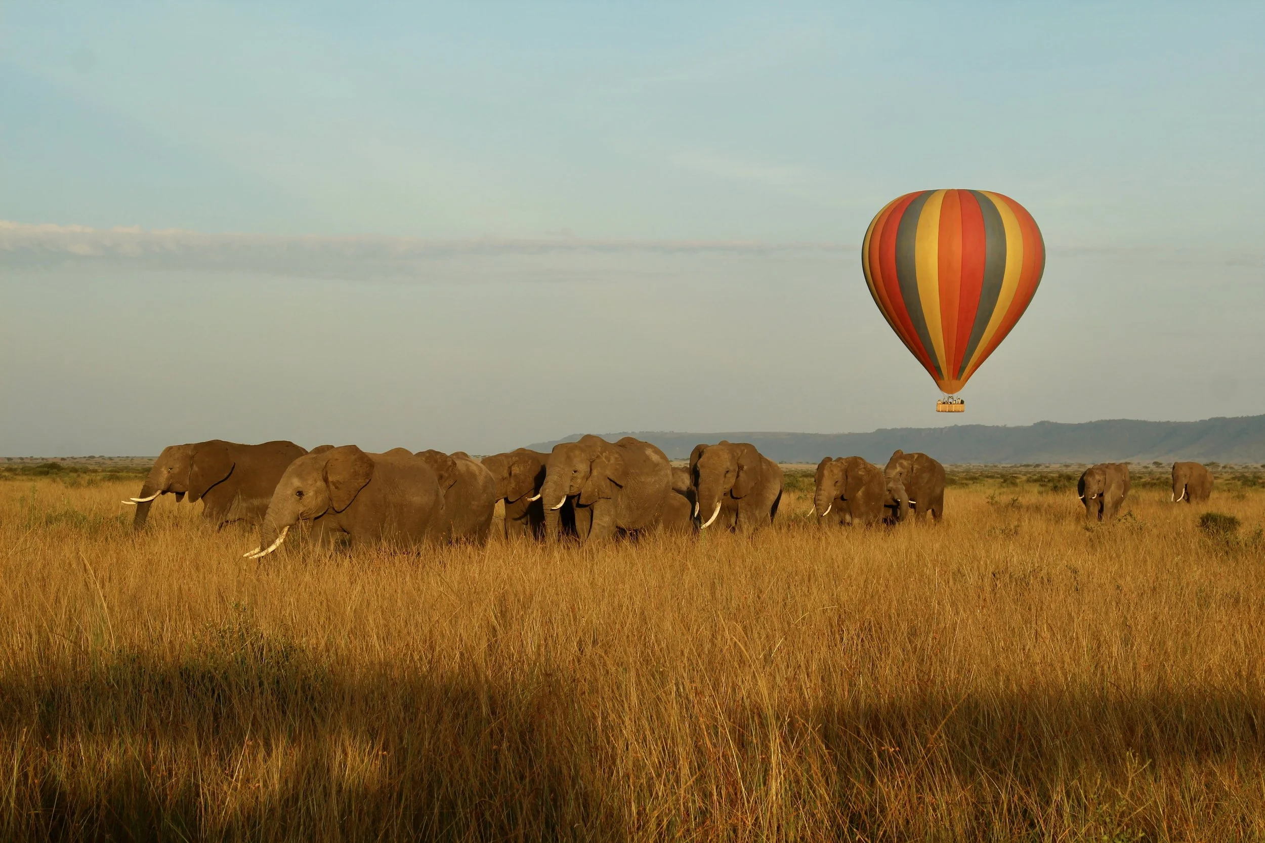 Africa 2022 - 16 of 140.jpeg