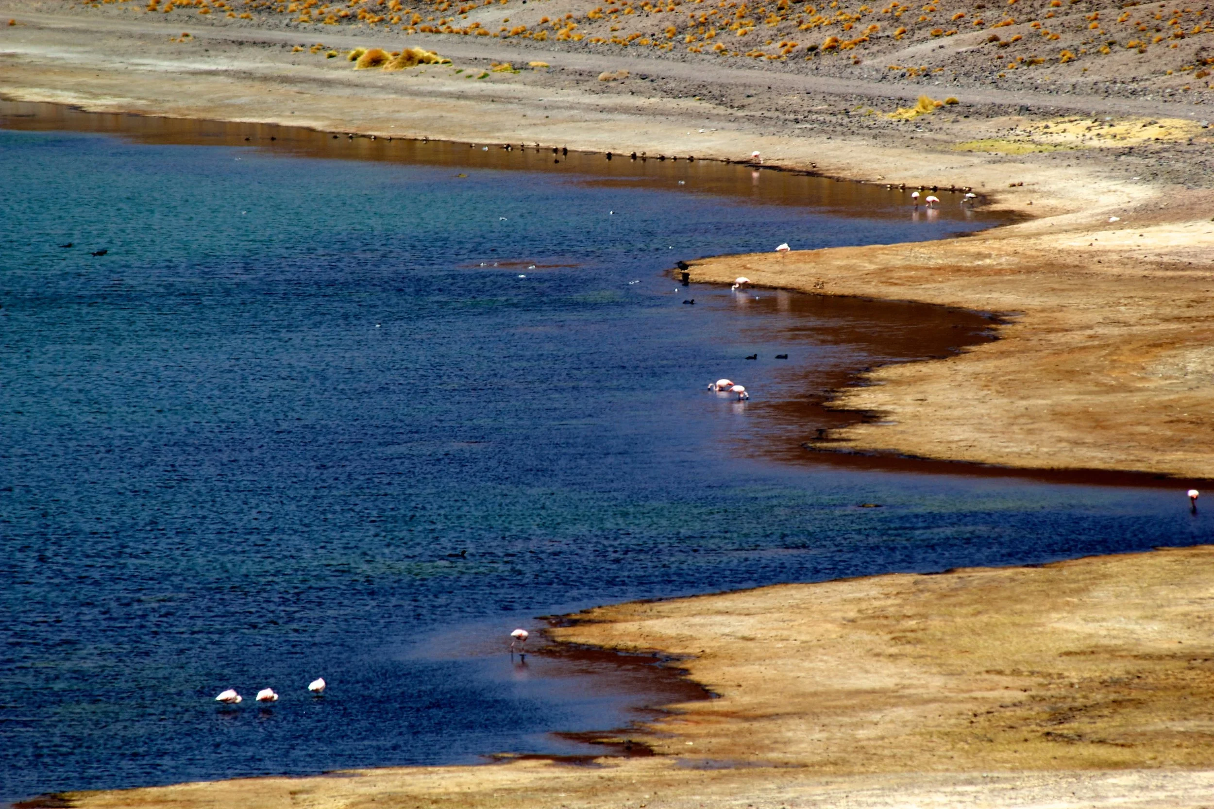 2011-02-19MELT 139.jpg