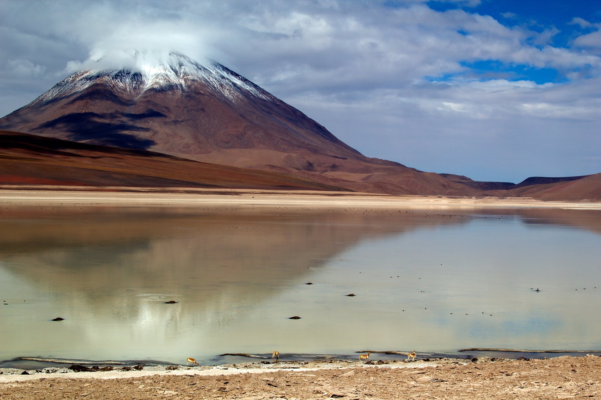 2011-02-20MELT 170.jpg