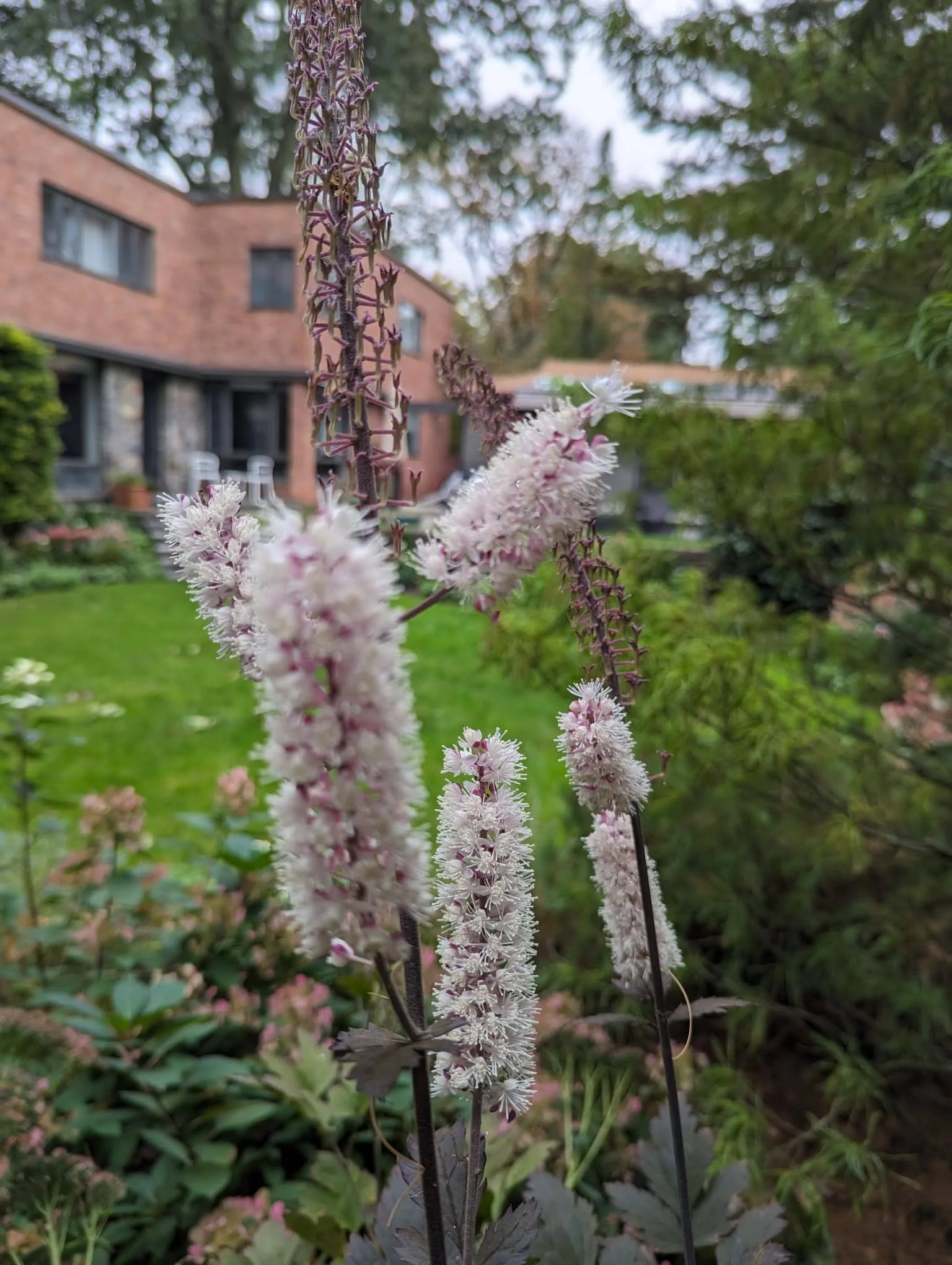 WhatsApp Image 2025-02-09 at 9.10.57 AM.jpeg