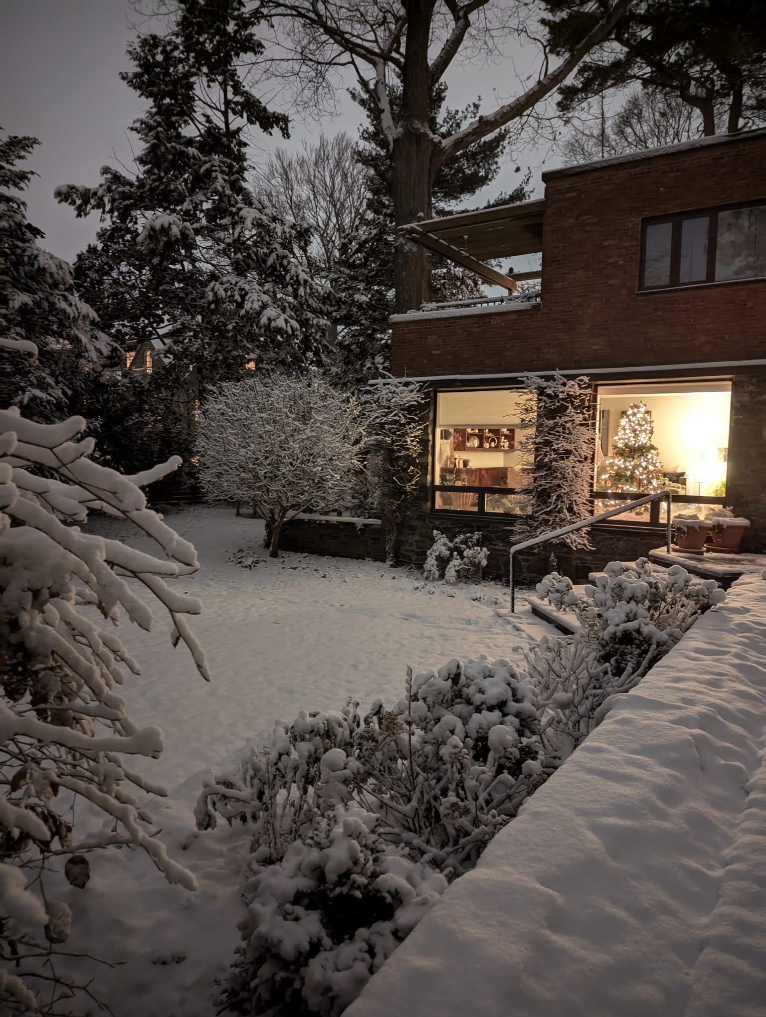 WhatsApp Image 2025-02-07 at 3.10.42 PM.jpeg