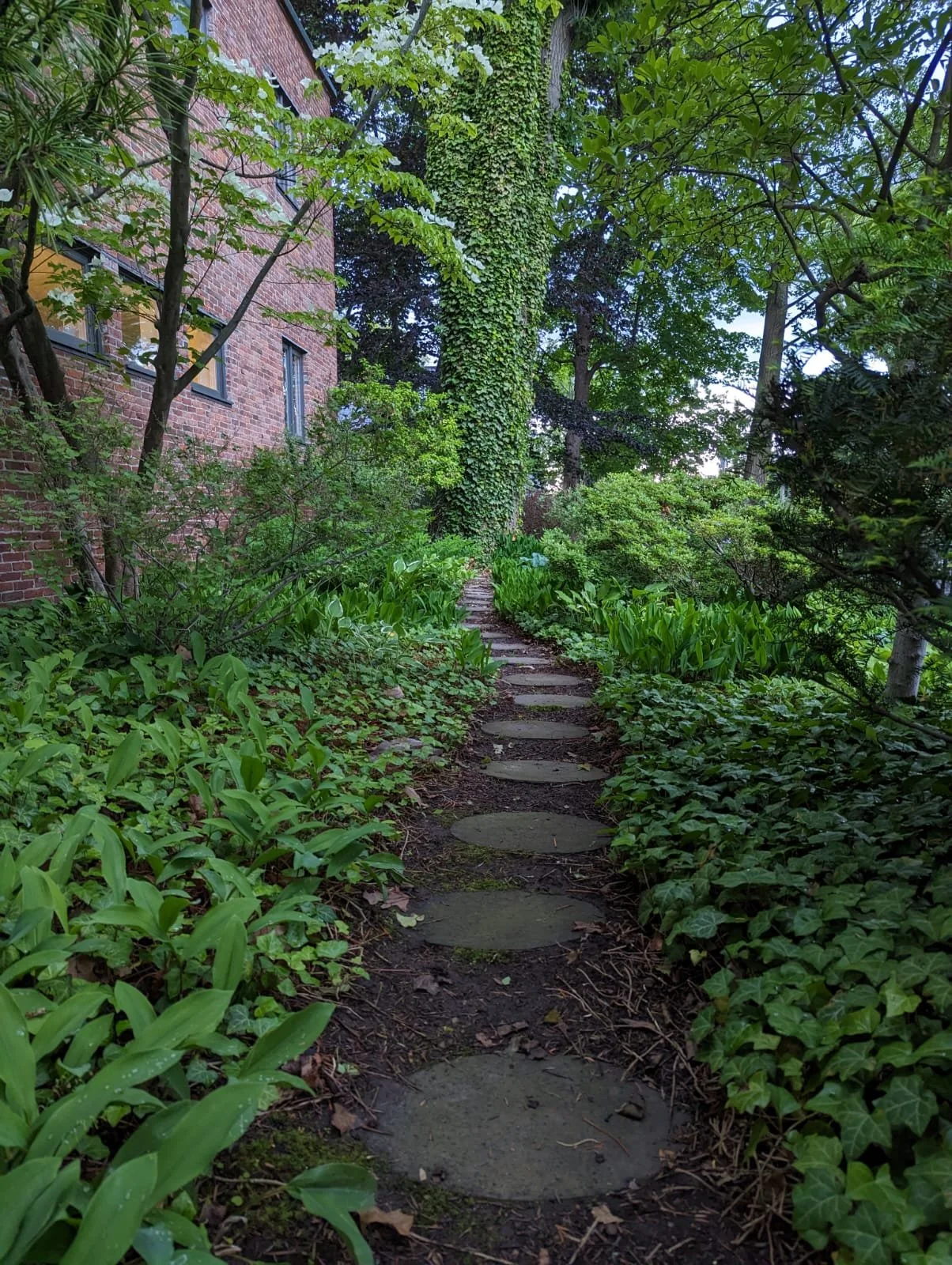 WhatsApp Image 2025-02-09 at 2.39.56 PM.jpeg