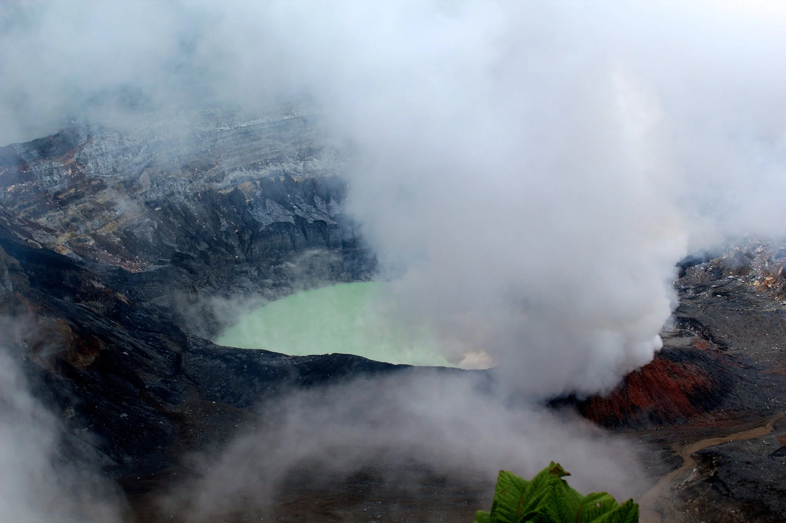 2011-06-24MELTflagged 399.jpg