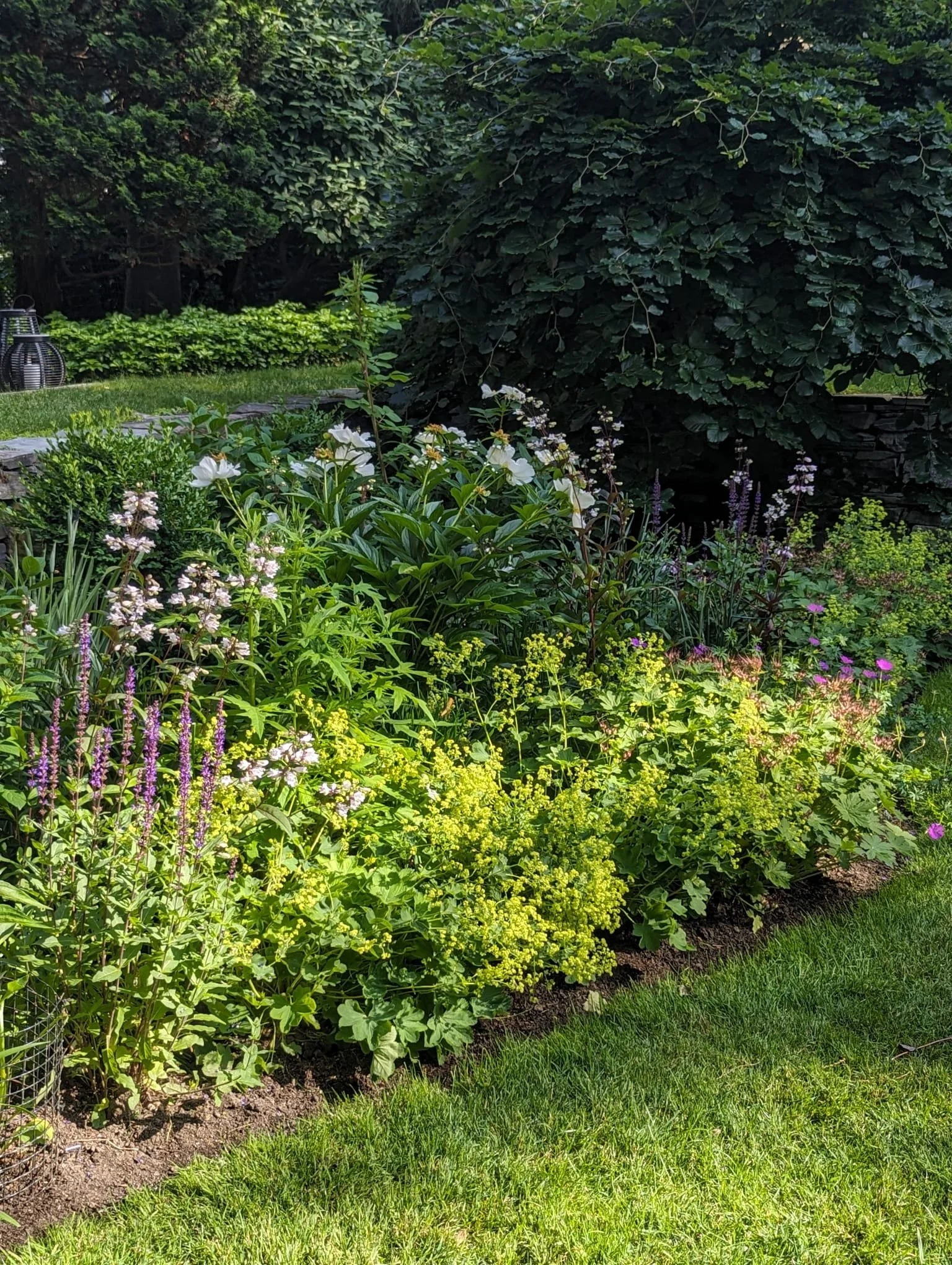 WhatsApp Image 2025-02-07 at 3.41.58 PM.jpeg