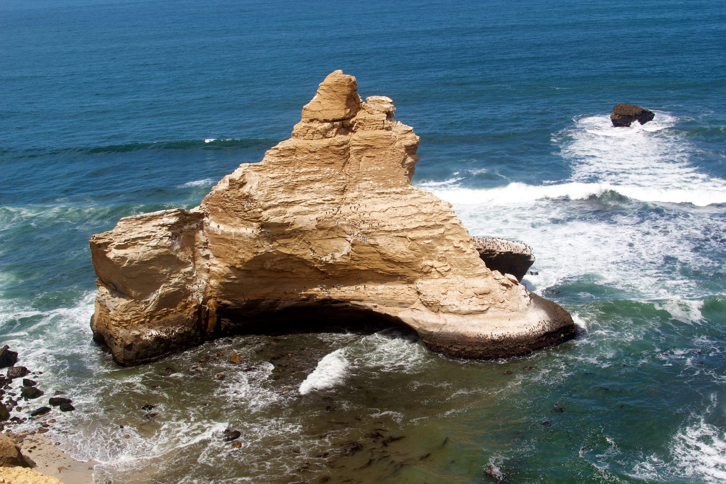 2011-03-20MELTflagged 82.jpg