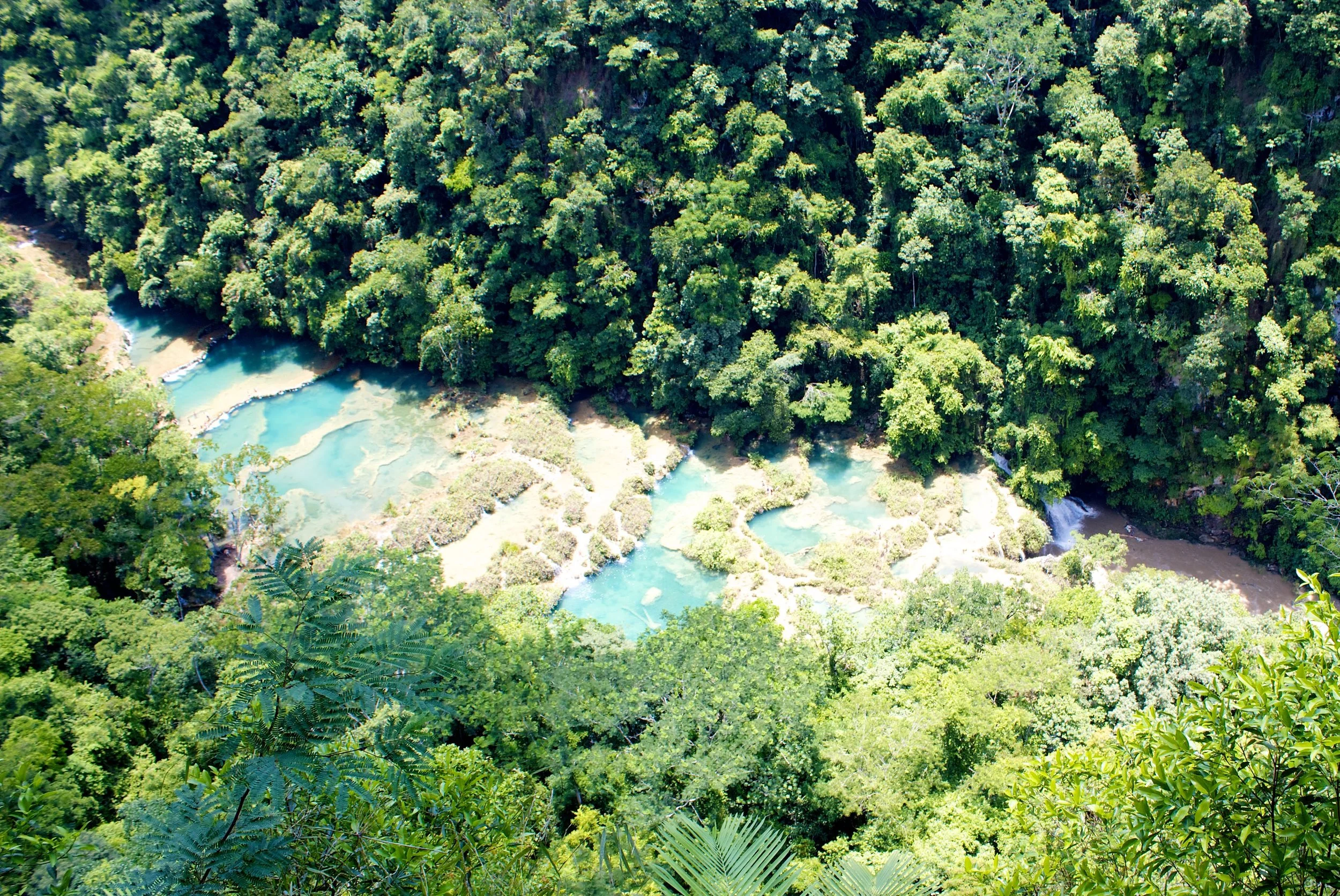 2011-07-15MELTflagged 474.jpg