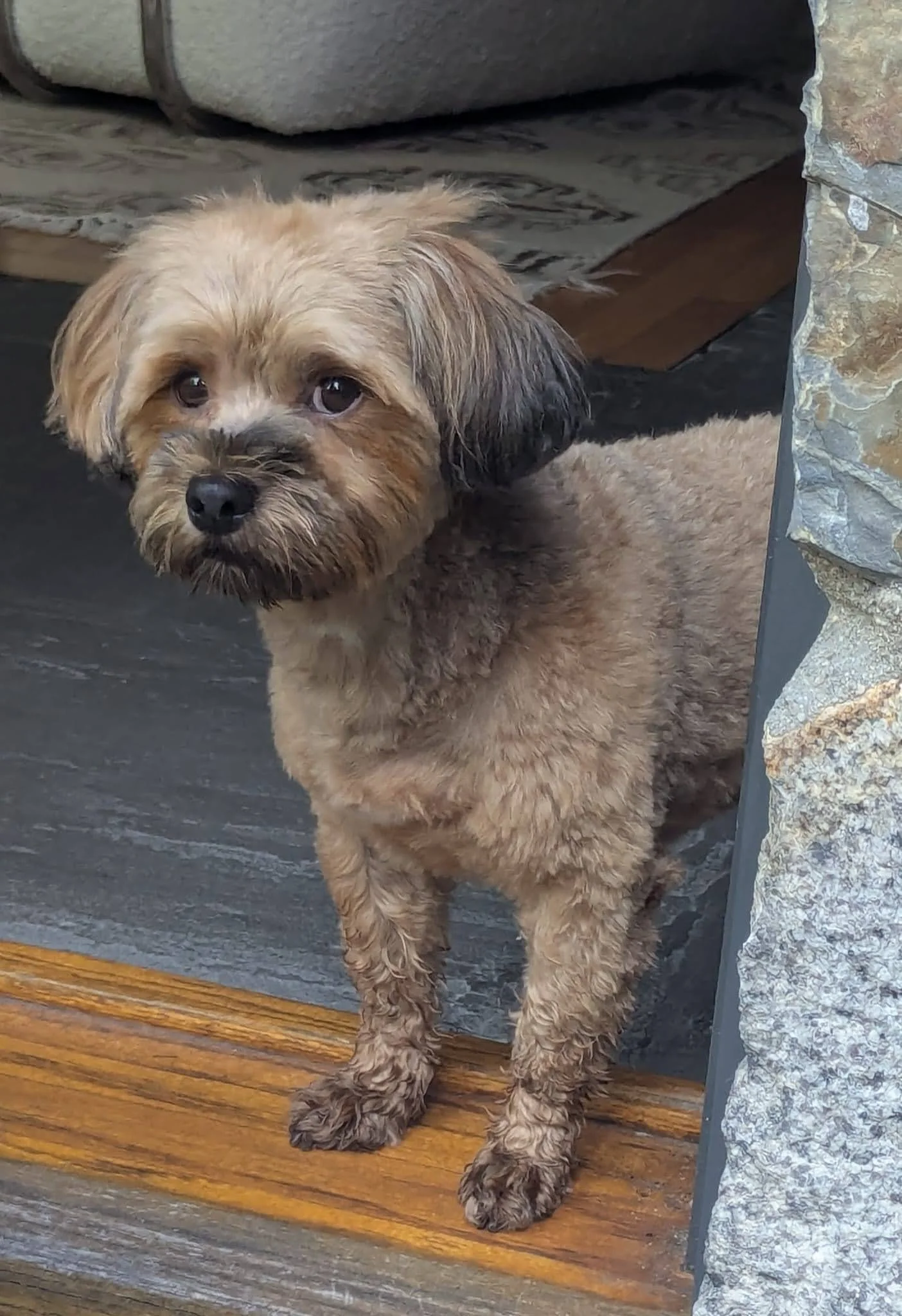 WhatsApp Image 2025-02-07 at 3.39.27 PM.jpeg