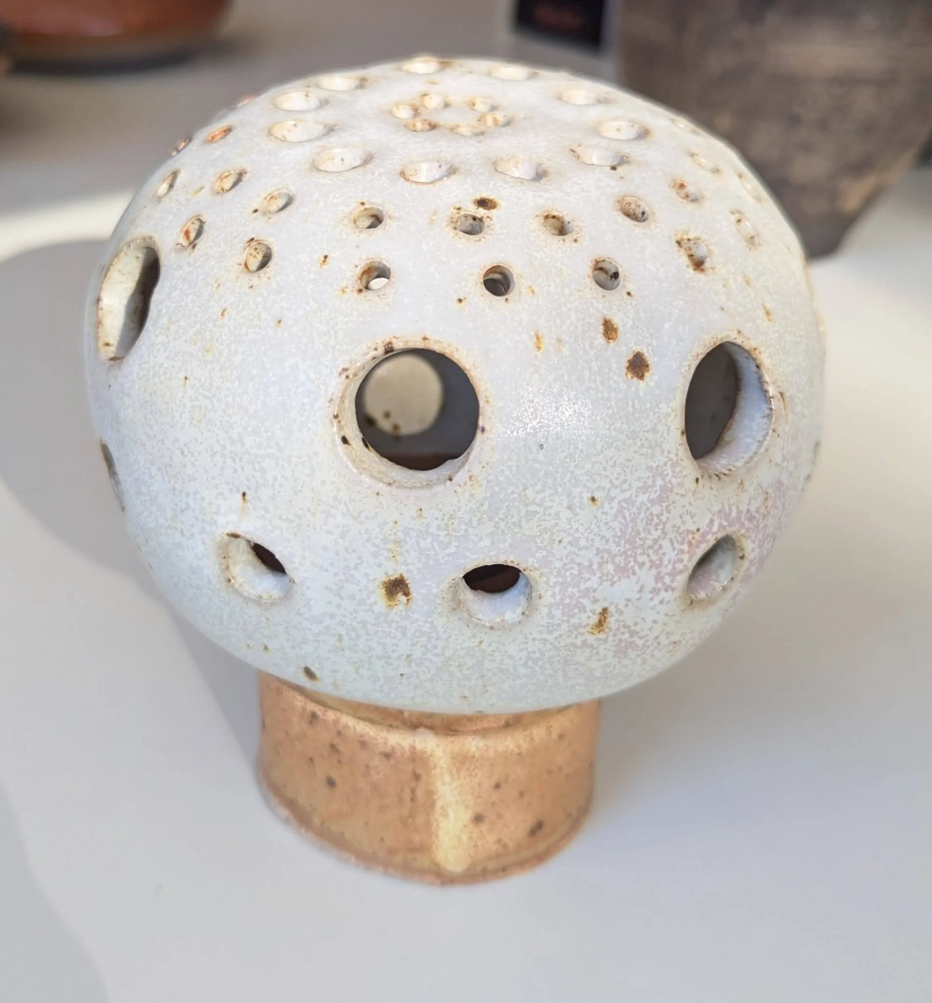 WhatsApp Image 2025-02-09 at 12.10.01 PM.jpeg