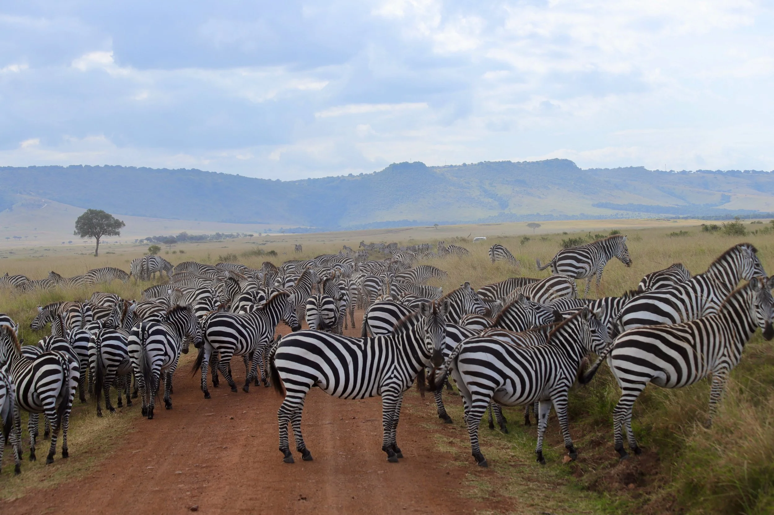 Africa 2022 - 122 of 140.jpeg