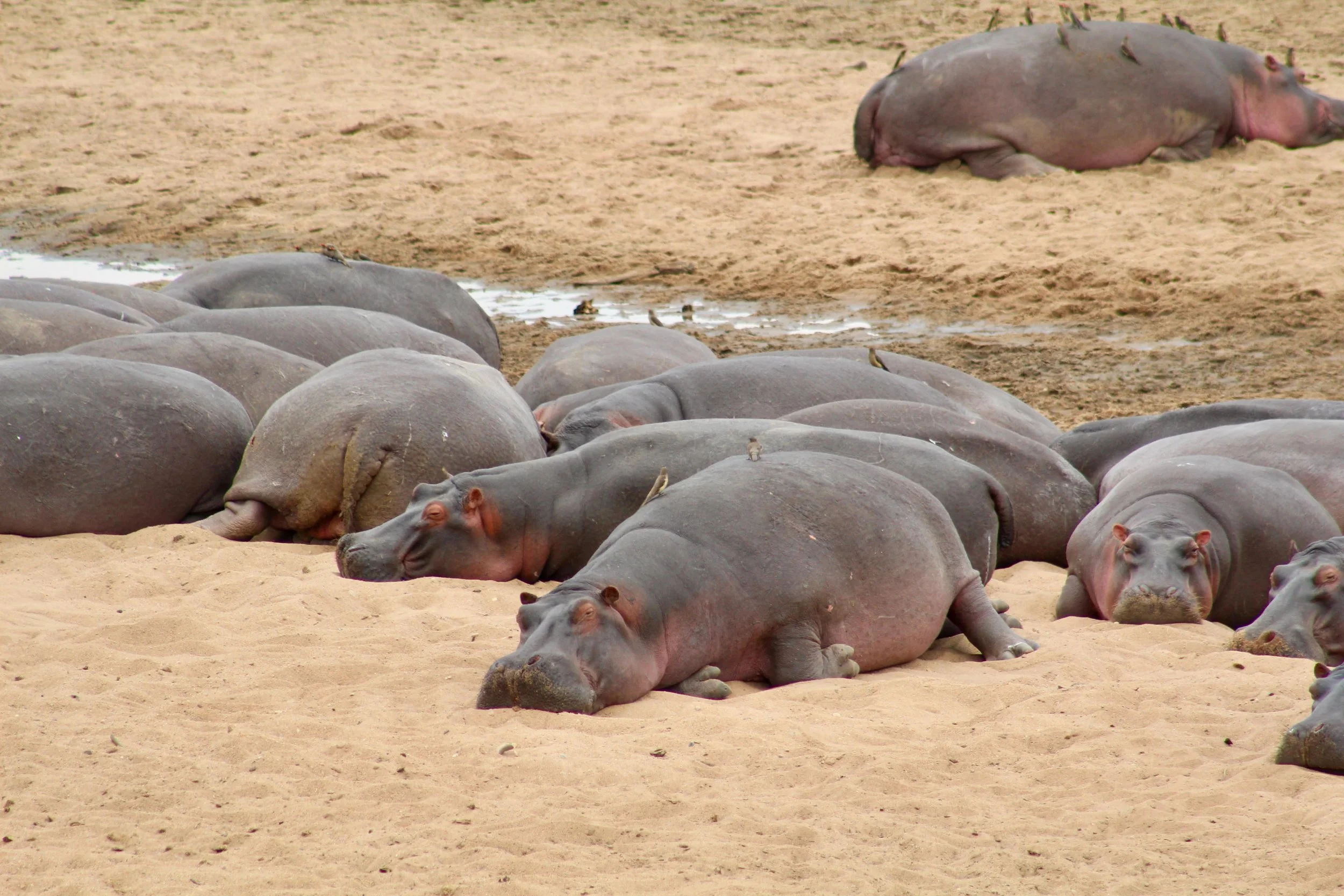 Africa 2022 - 56 of 140.jpeg