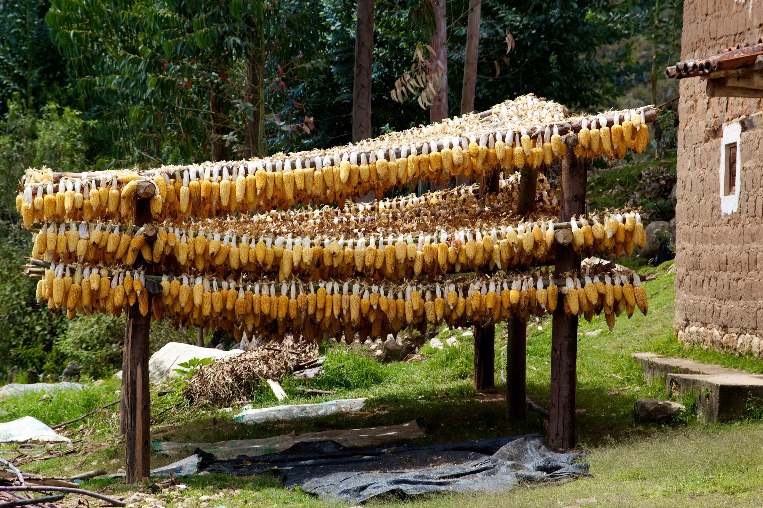 2011-03-26MELTflagged 103.jpg