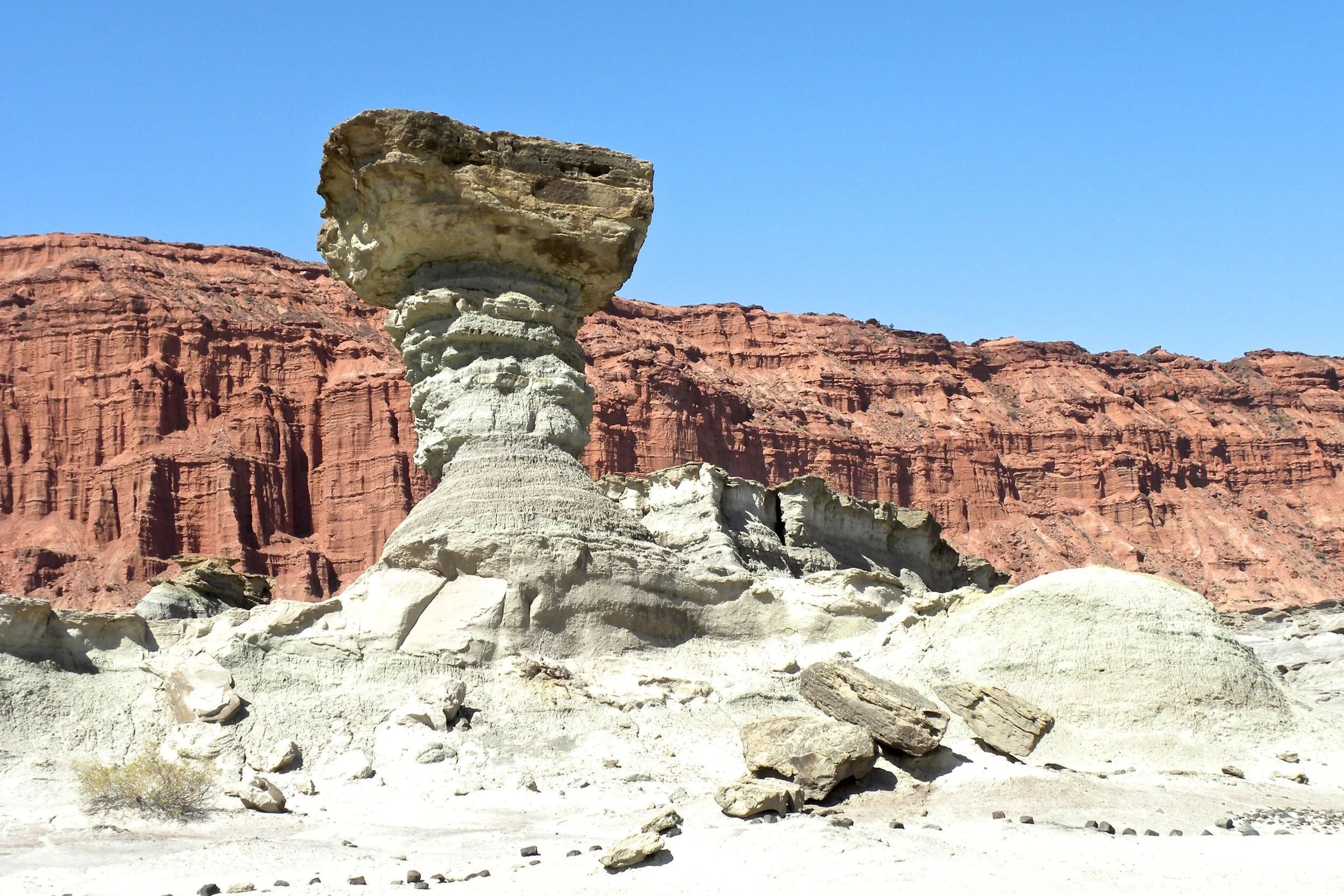 2011-02-07MELT 56.jpg