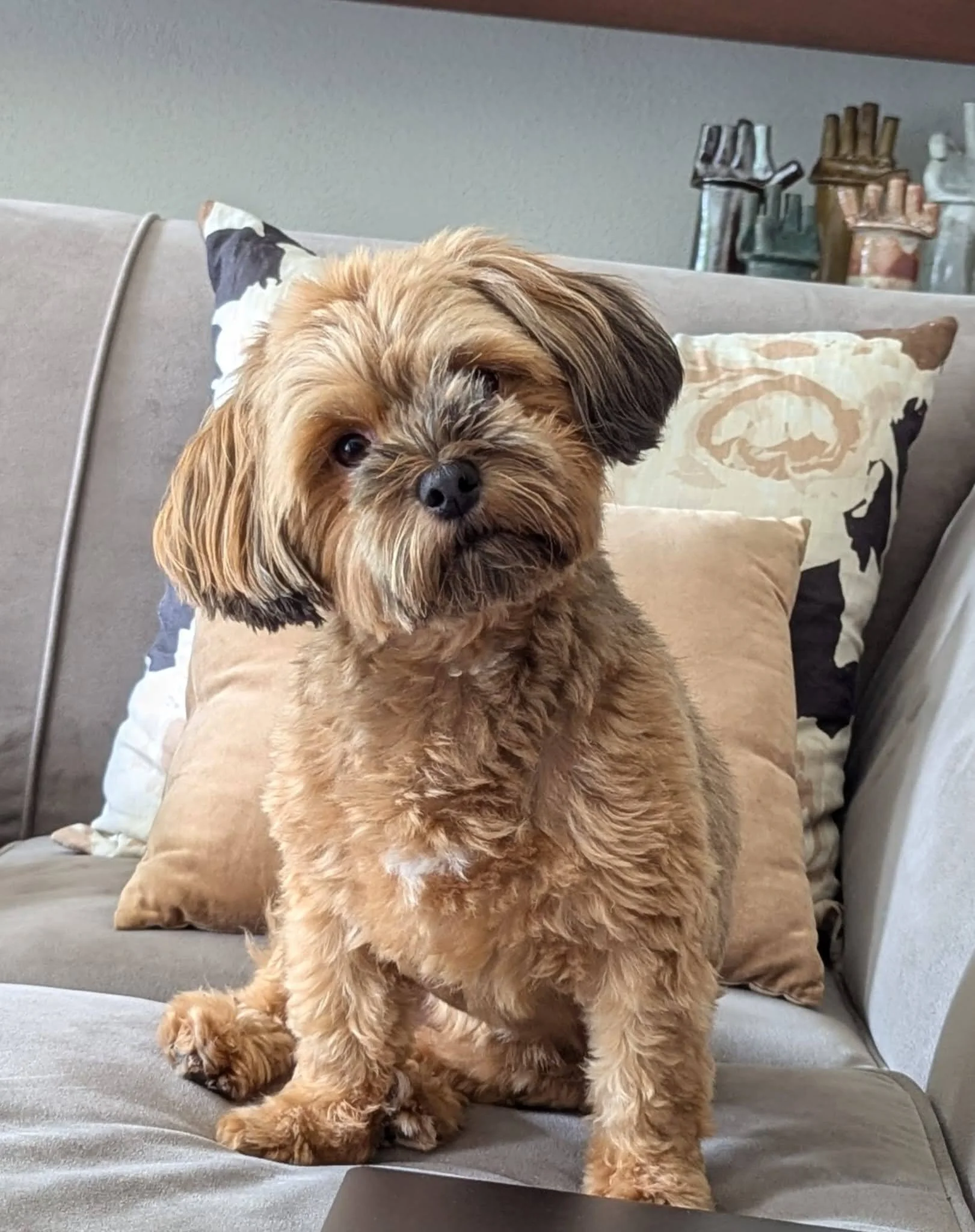 WhatsApp Image 2025-02-07 at 3.34.33 PM.jpeg