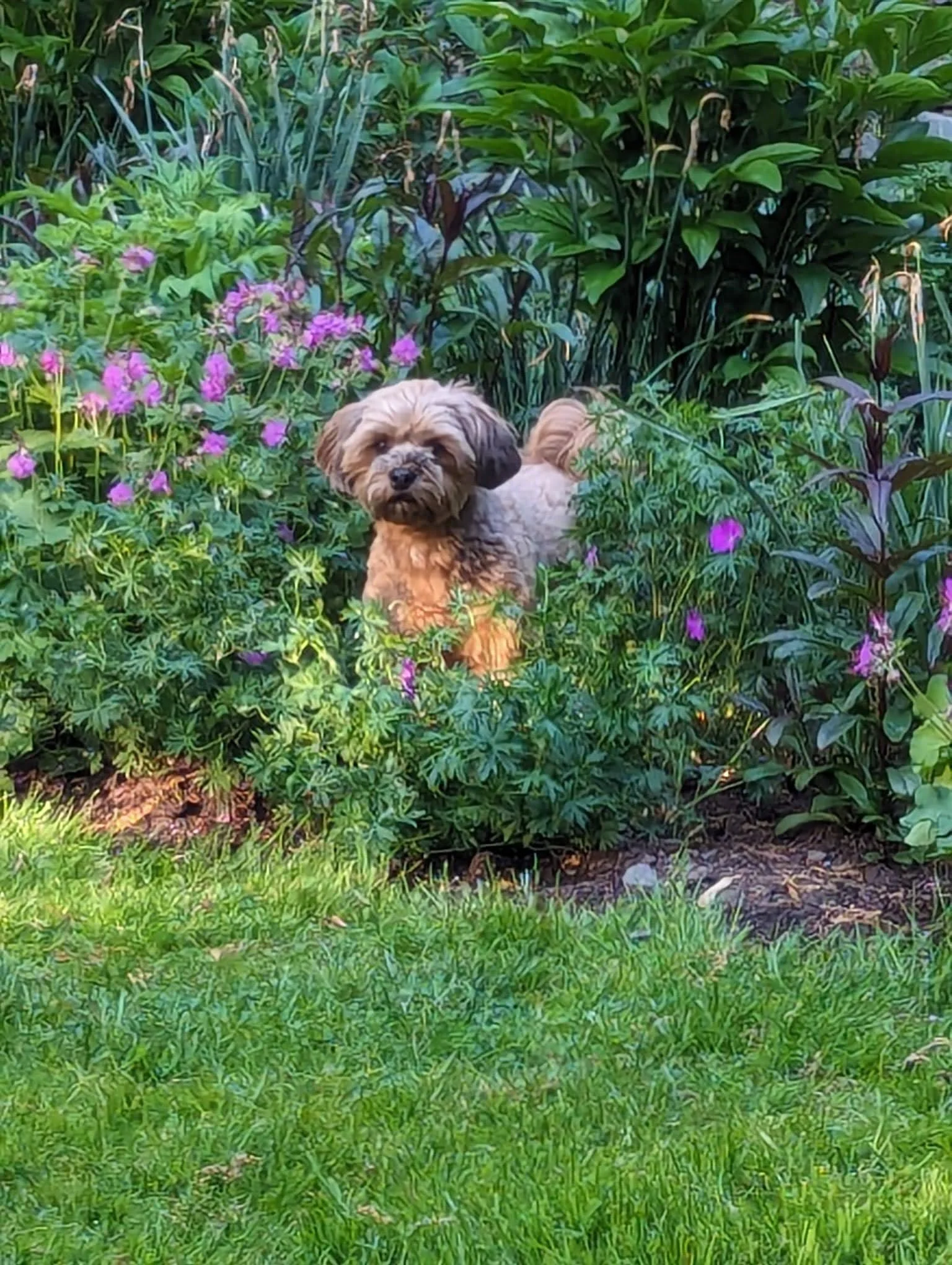 WhatsApp Image 2025-02-07 at 3.43.47 PM.jpeg