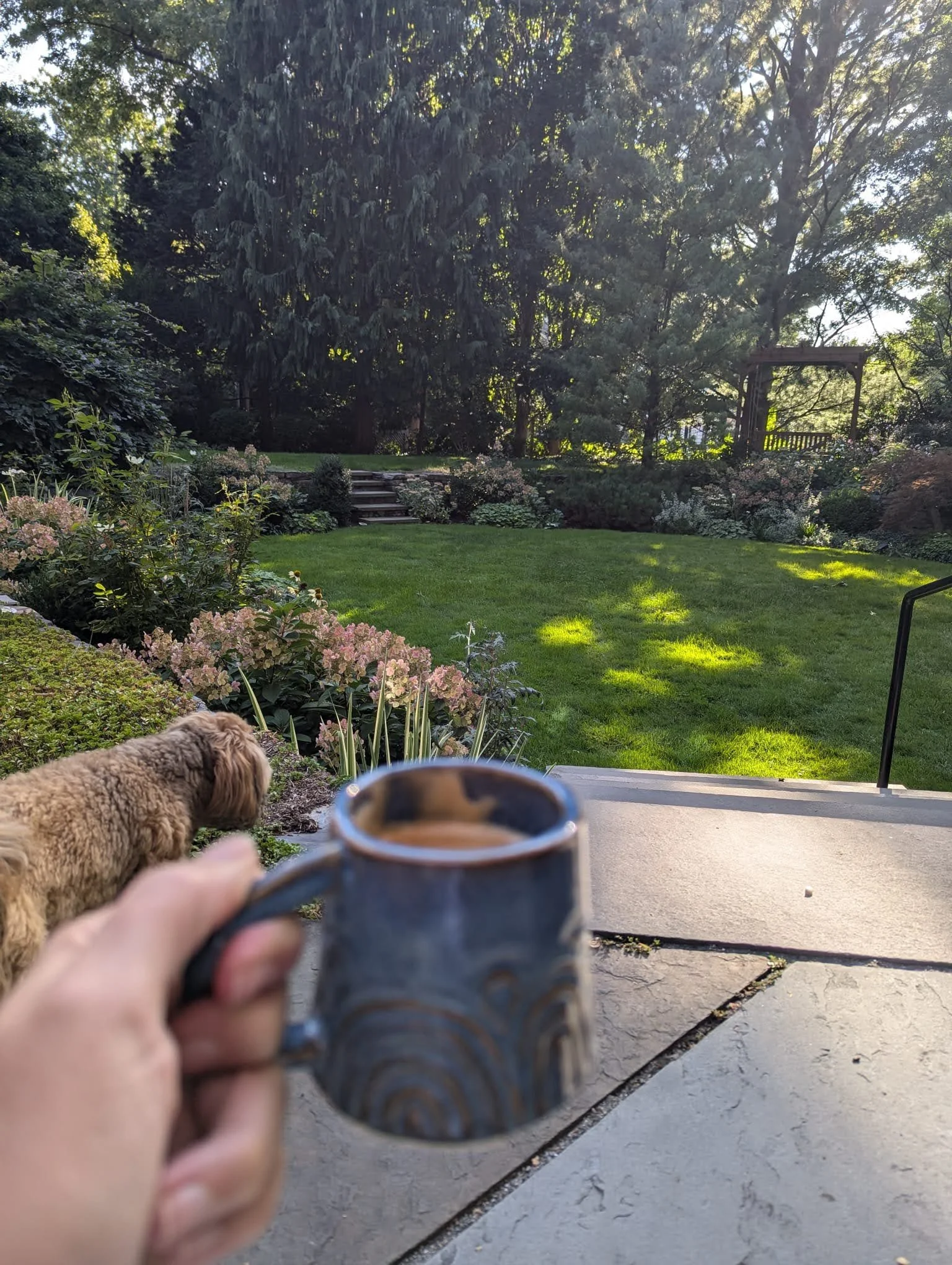 WhatsApp Image 2025-02-07 at 3.38.28 PM.jpeg