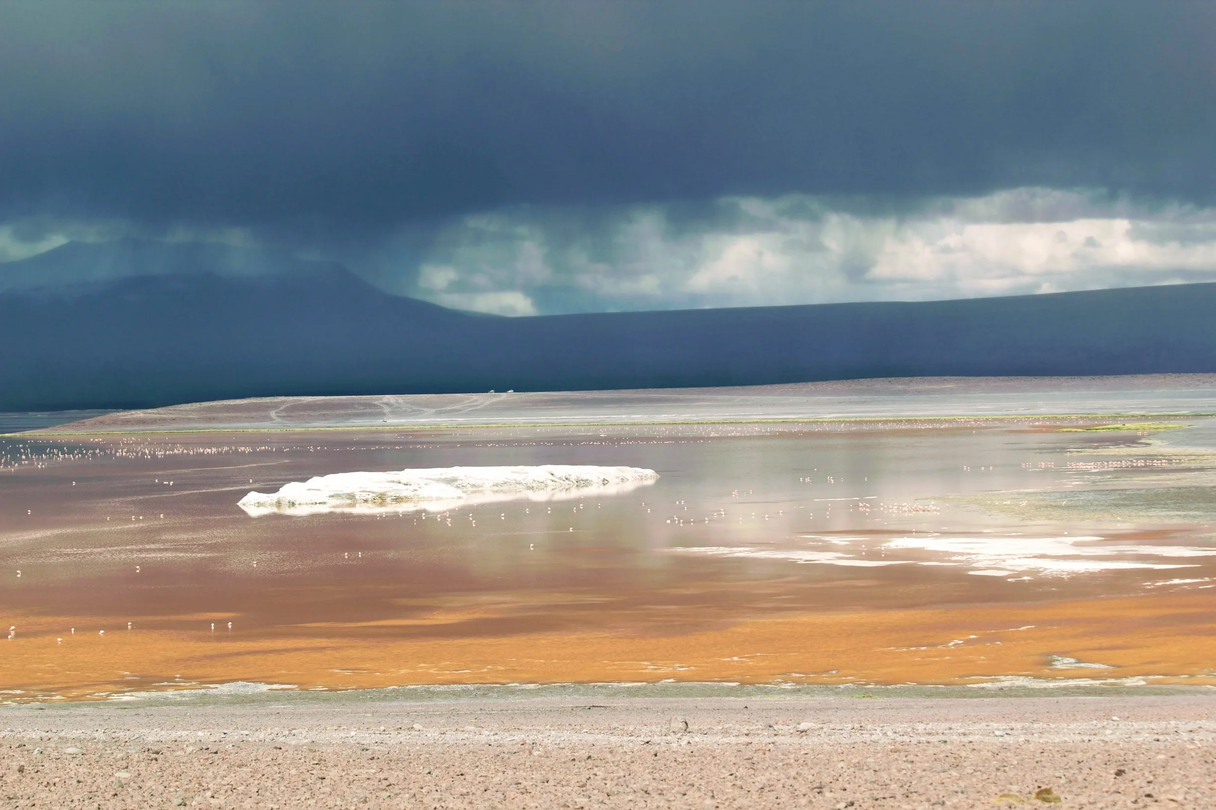 2011-02-21MELT 185.jpg