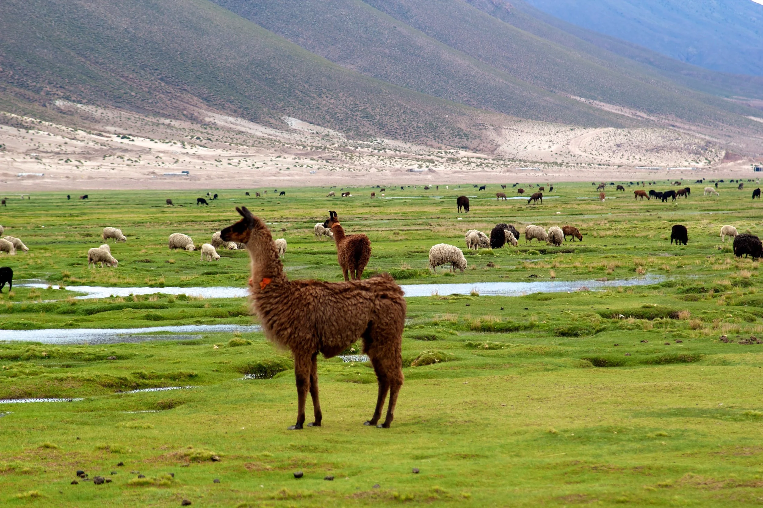 2011-02-24MELT 233.jpg